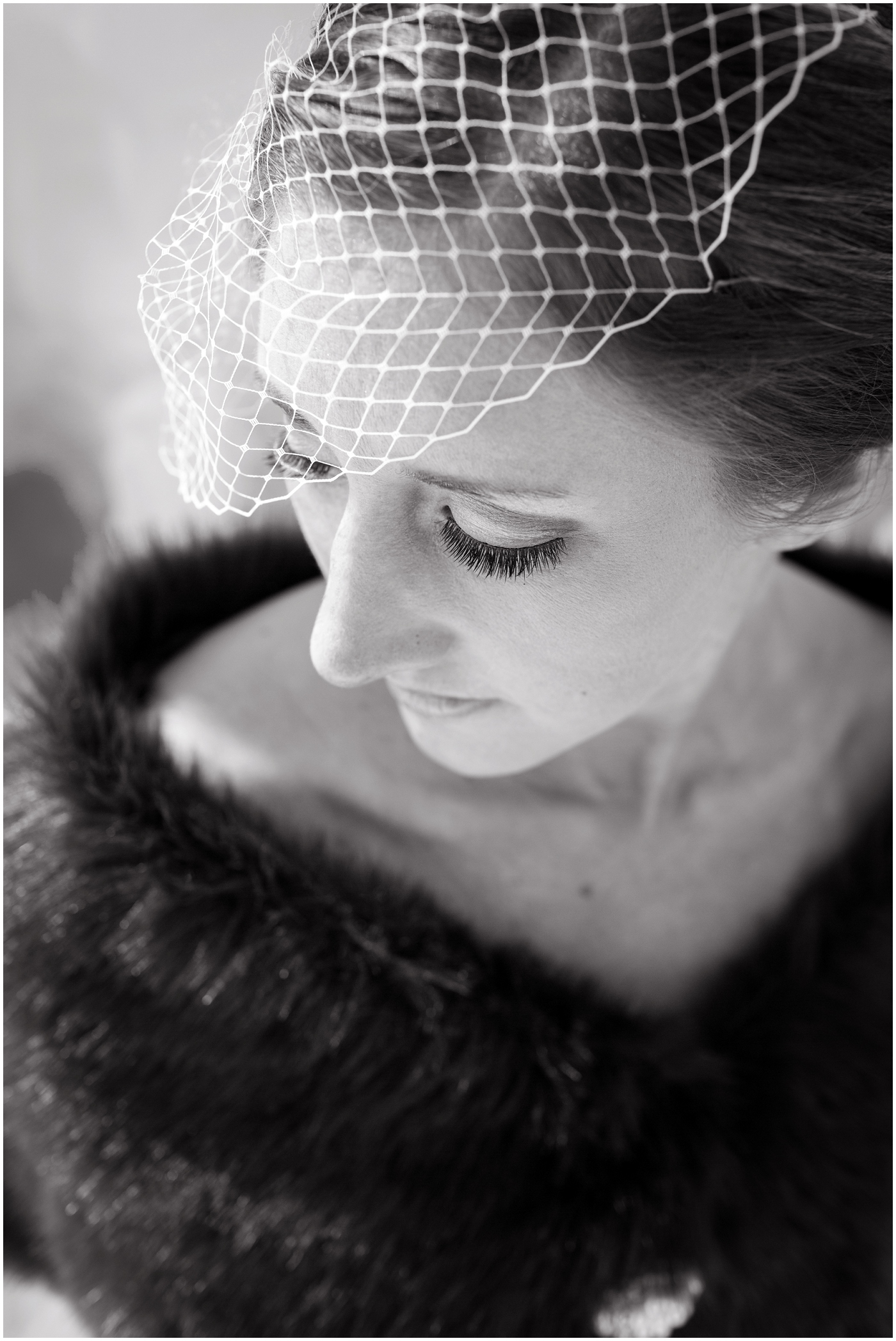 picture of bride with birdcage veil