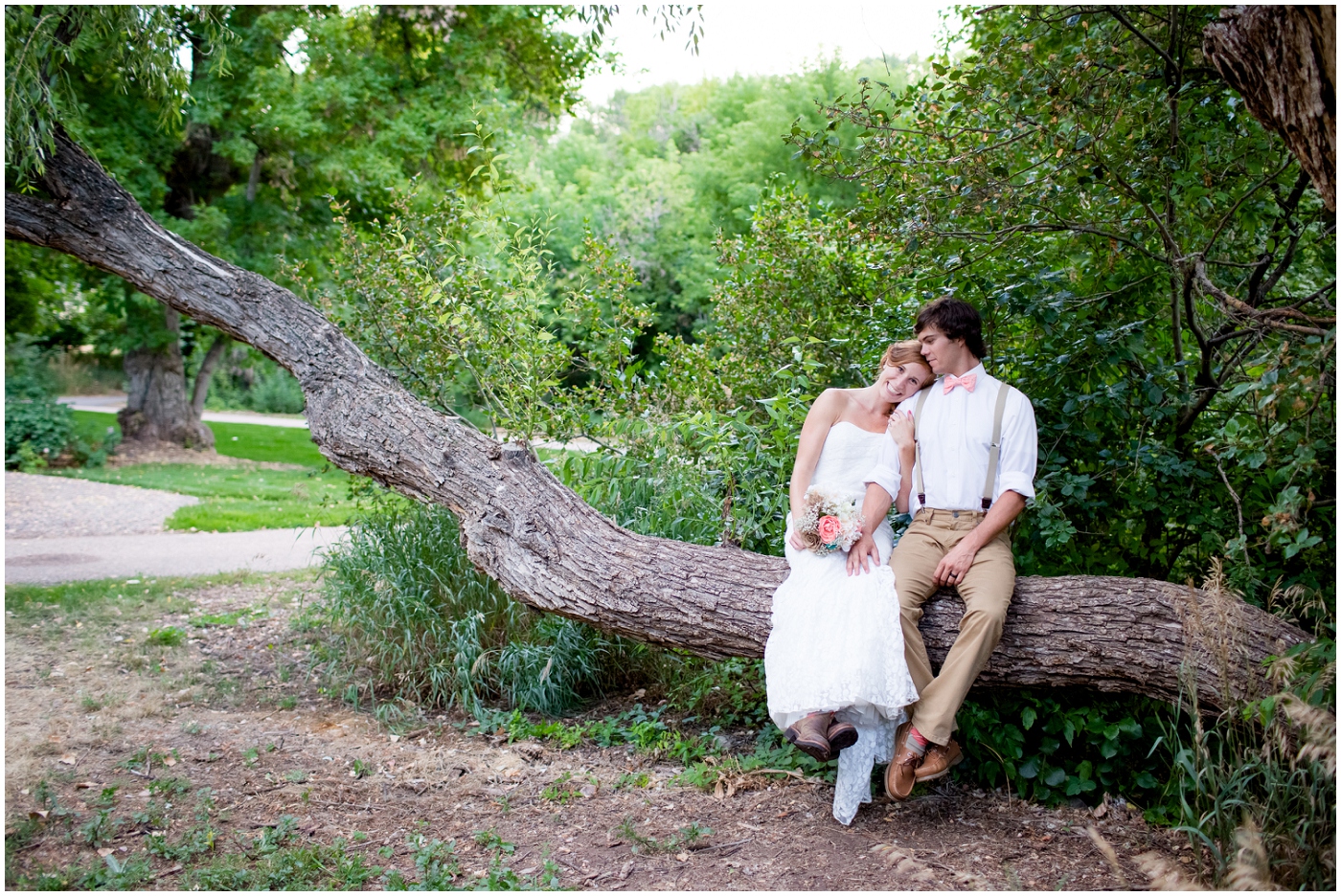 picture of bride and groom sitting in a tree