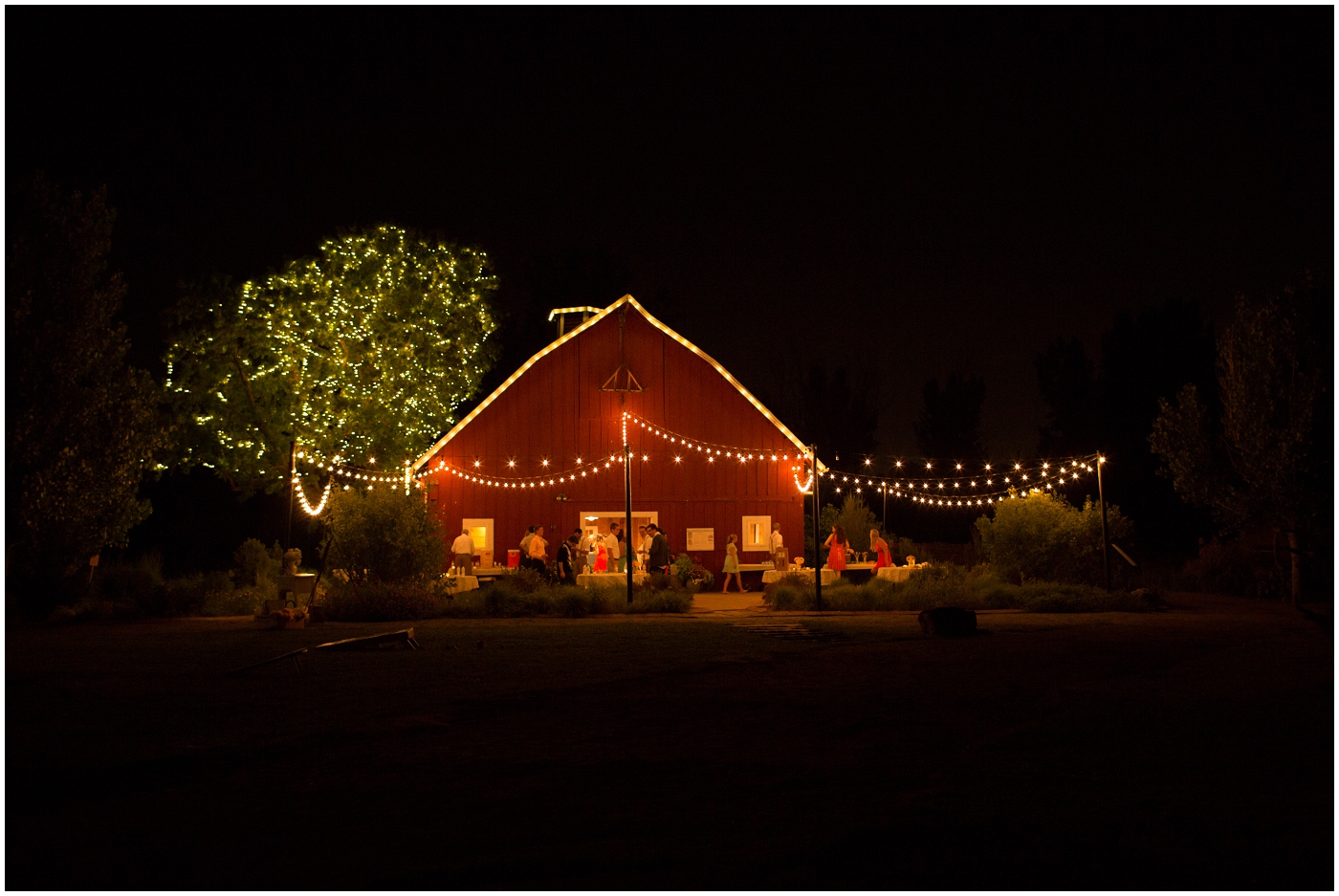 picture of barn at chafield botanic gardens wedding
