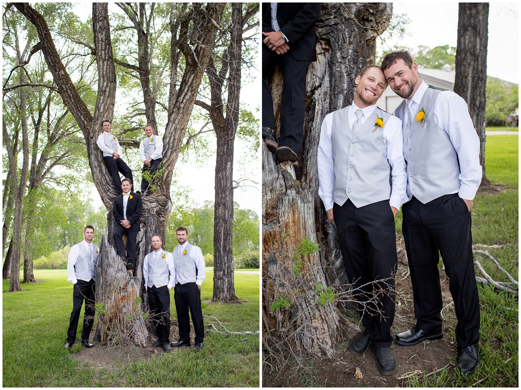 picture of groomsmen climbing a tree