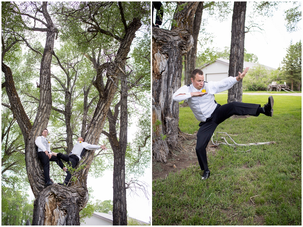 picture of groomsmen climbing a tree