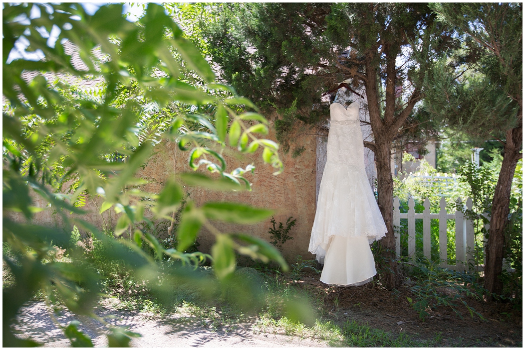 picture of wedding dress hanging in a tree
