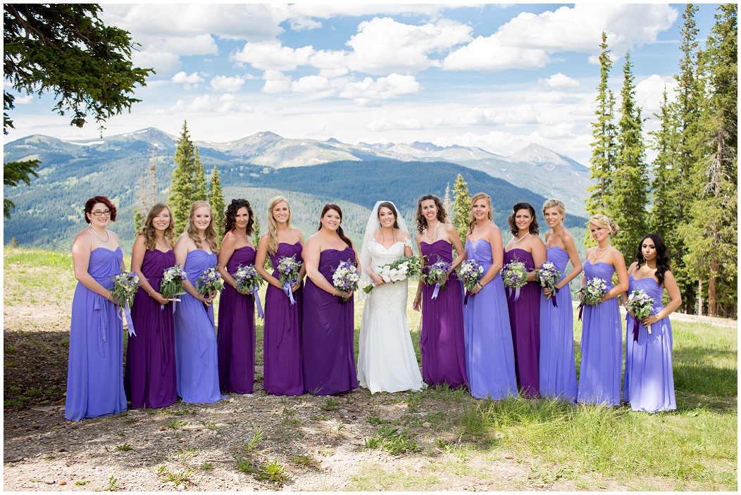 picture of large bridal party