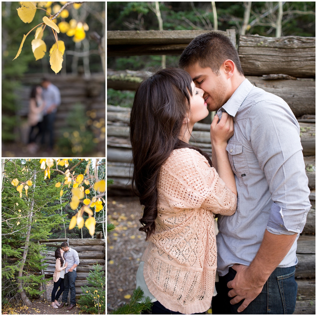 picture of Lyons engagement photos