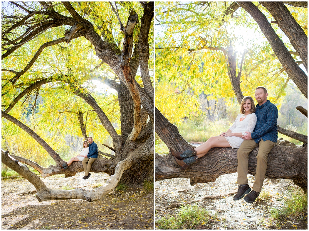 picture of engagement photos in a tree