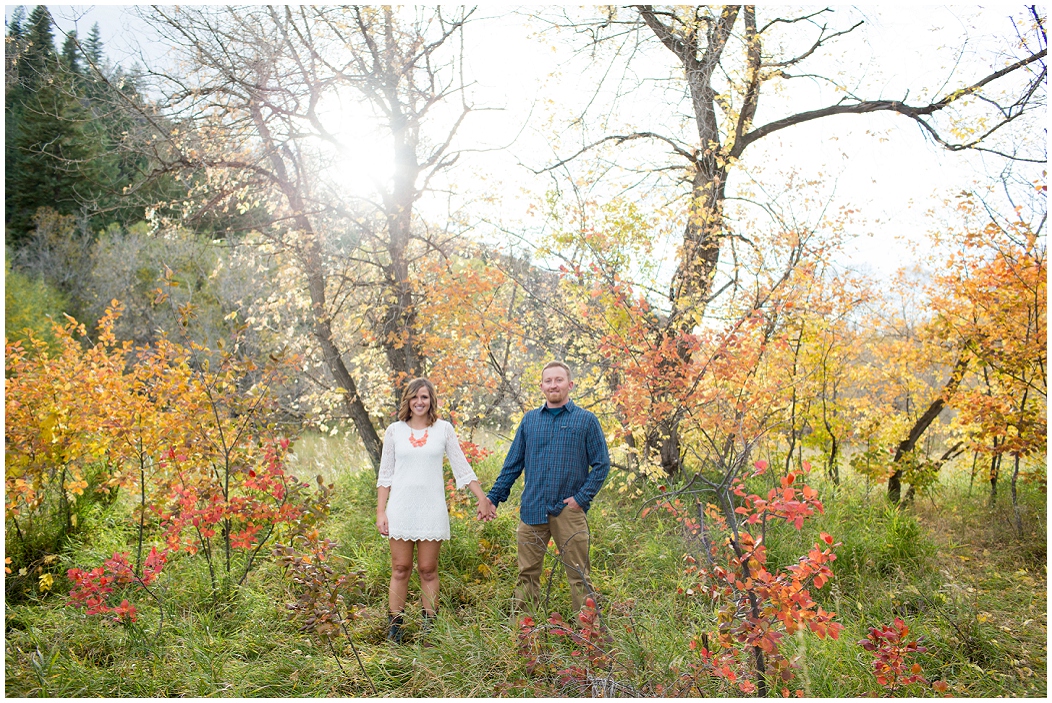 picture of colorado fall engagement photos