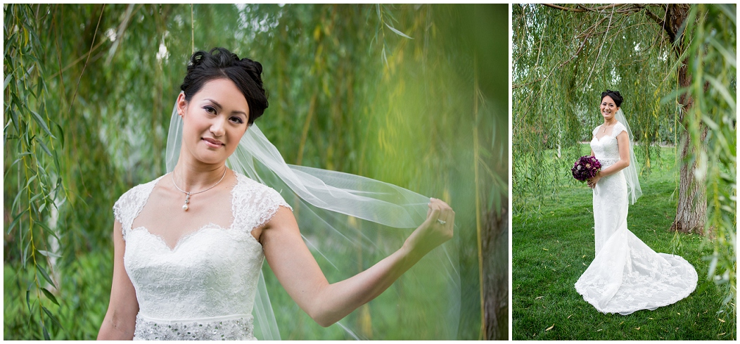 picture of bride with willow trees