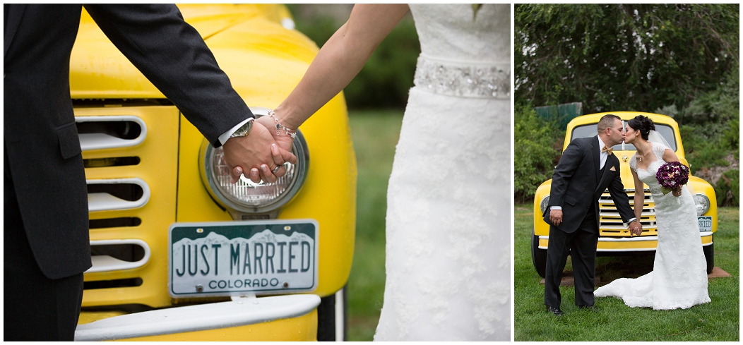 picture of just married license plate
