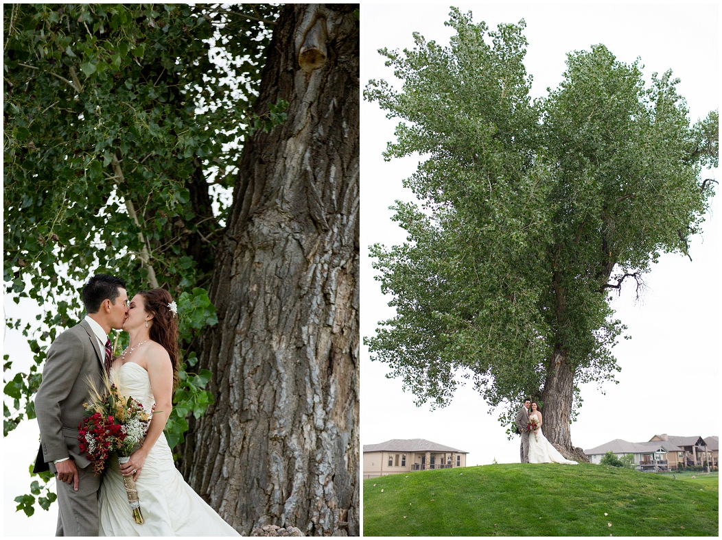picture of Highland Meadows Golf Course wedding 