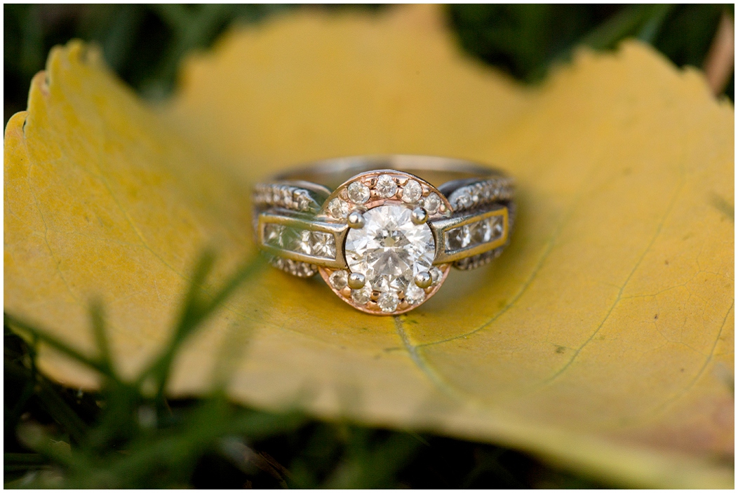 picture of engagement ring on a leaf