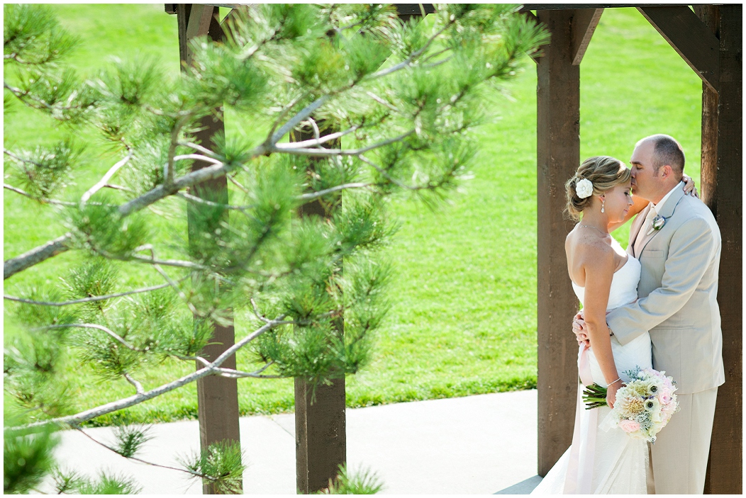 picture of highland meadows wedding 