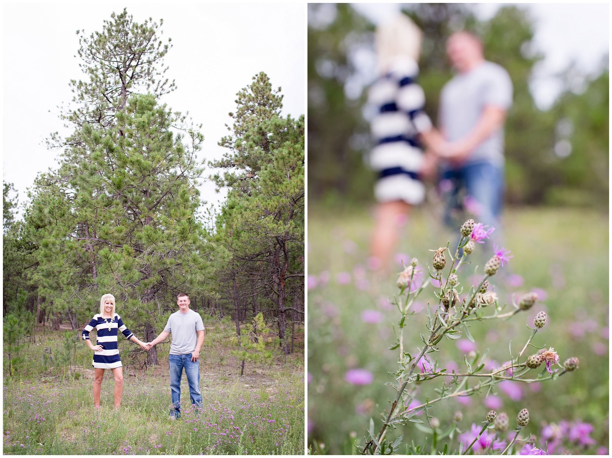 picture of Black Forest engagement pictures
