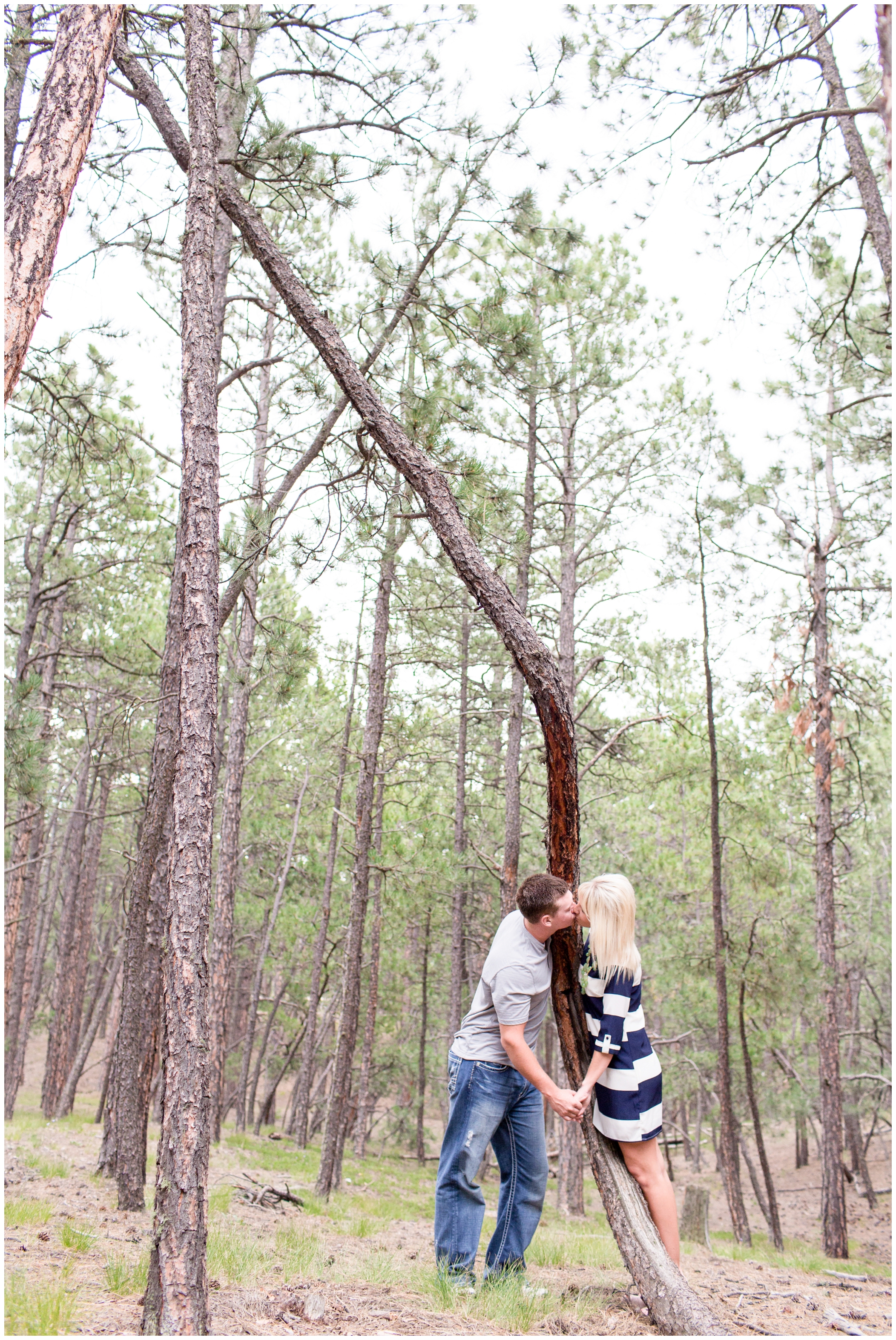 picture of Black Forest, Colorado engagement photos