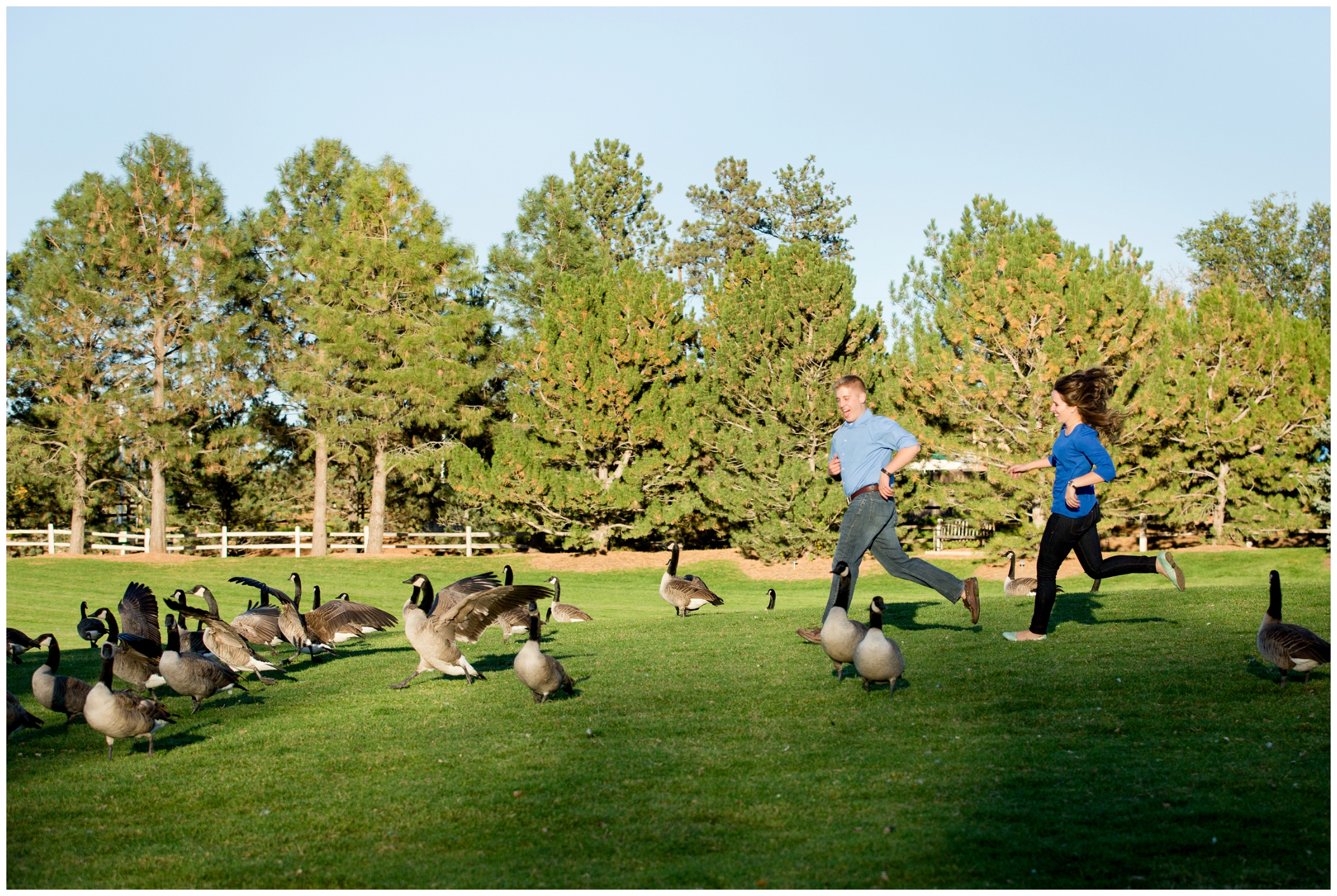 picture of kids chasing geese