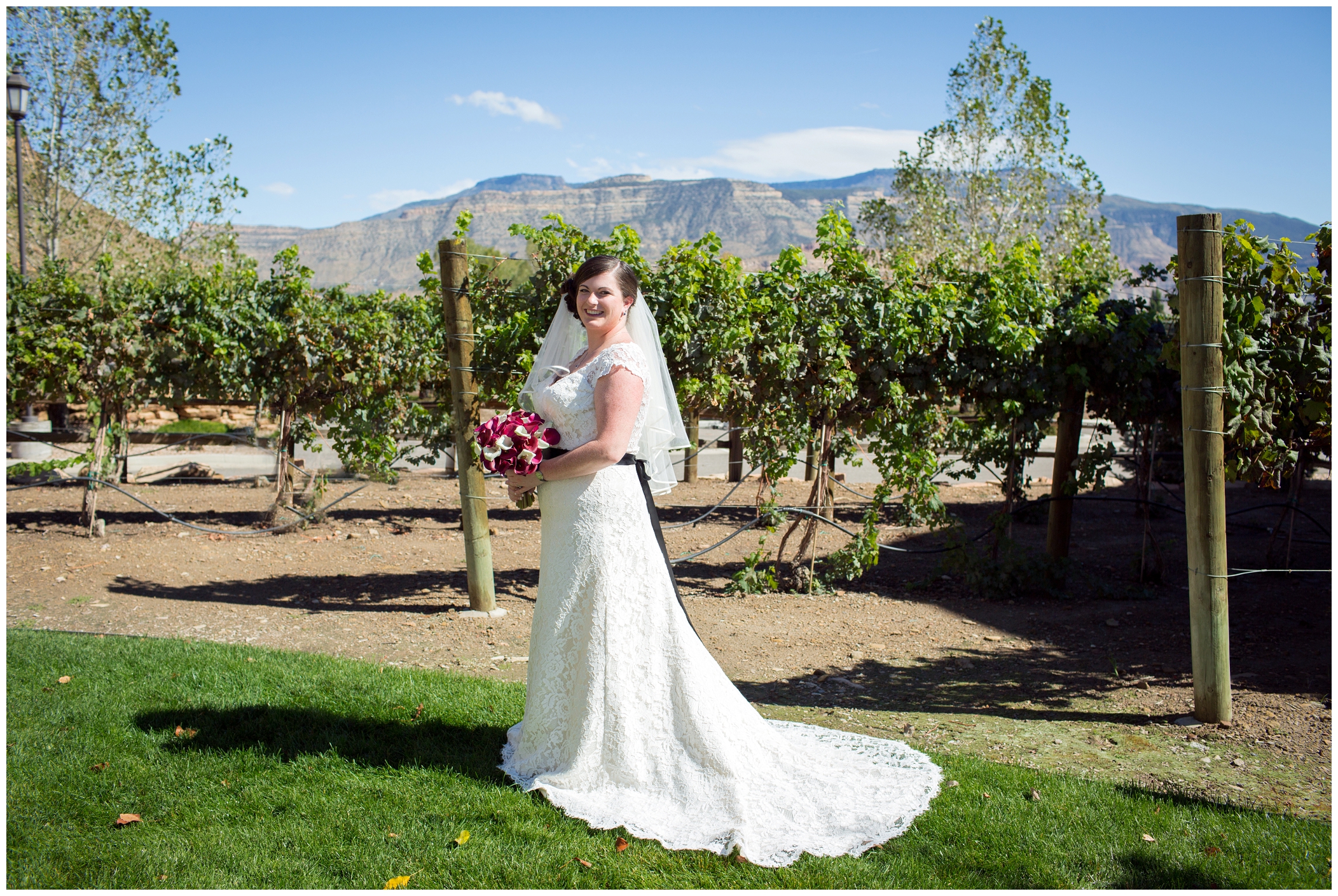 picture of Colorado vineyard wedding