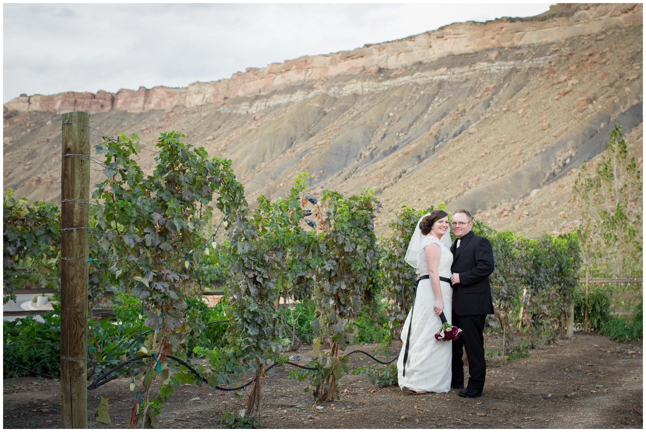 picture of vineyard wedding in Palisade, Colorado
