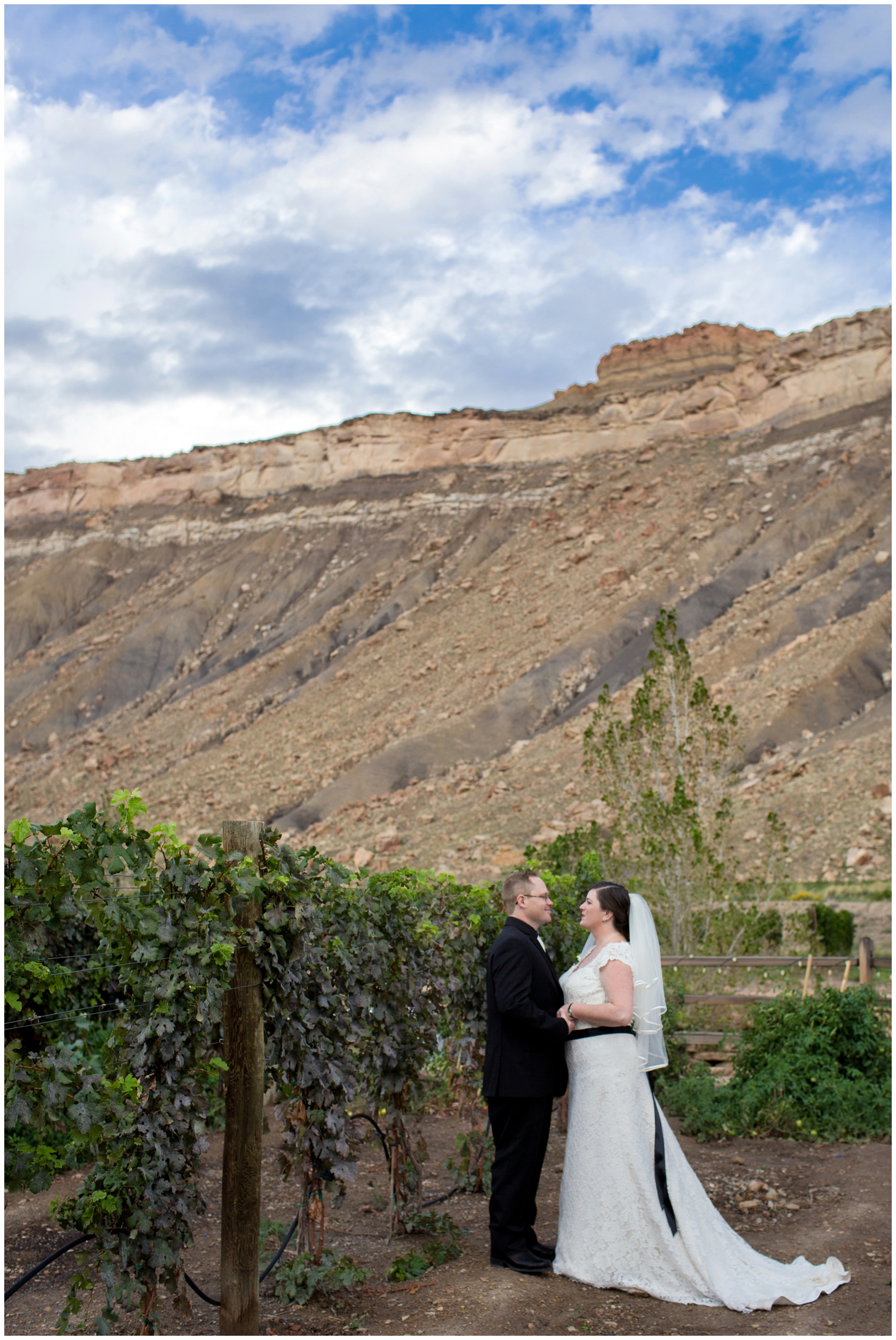 picture of Colorado vineyard wedding photography
