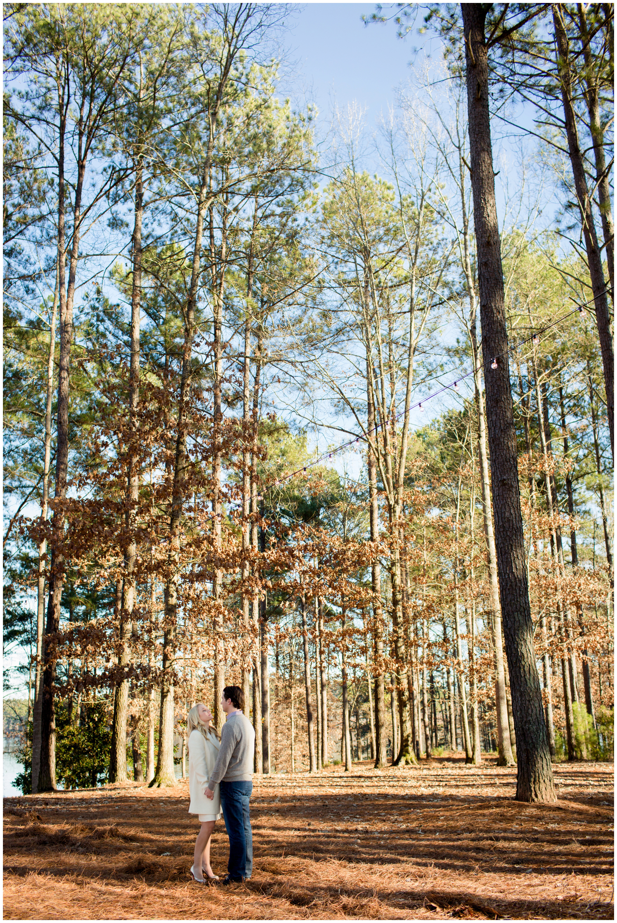 picture of forest engagement pictures