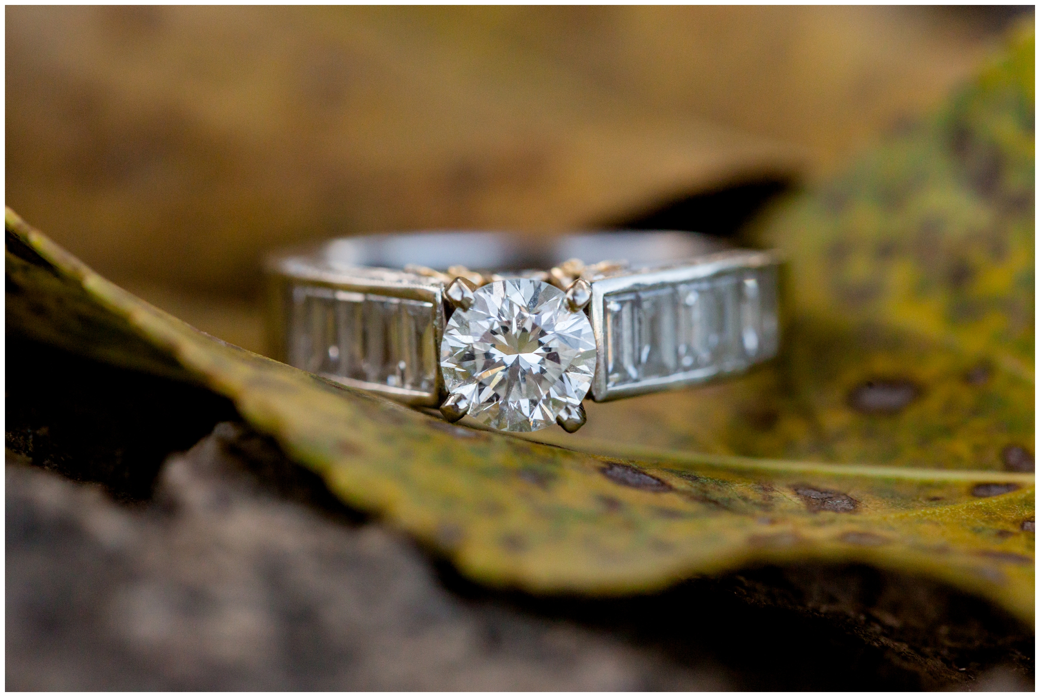 picture of engagement ring on fall leaves 