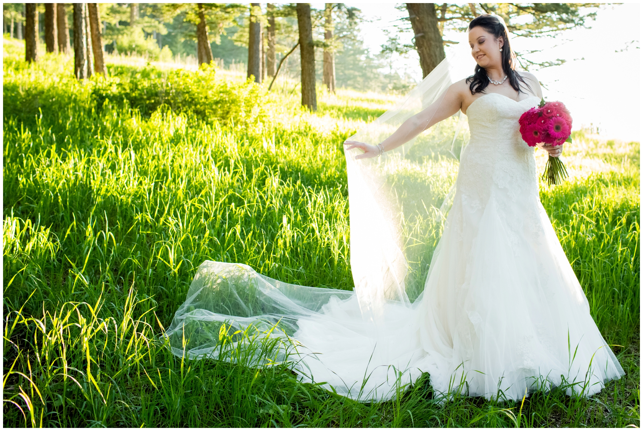picture of bride in the forest