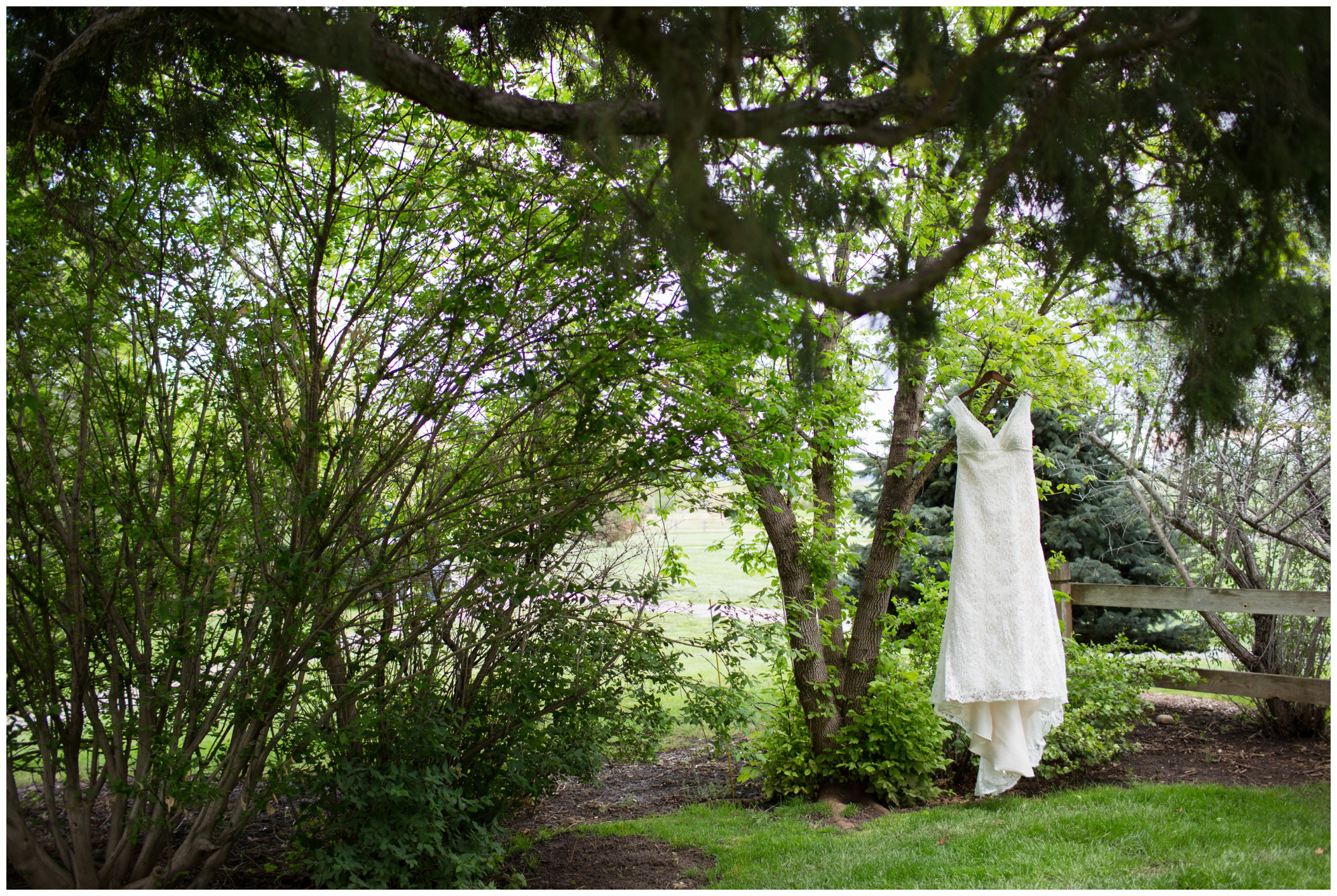 picture of bride's dress hanging in a tree