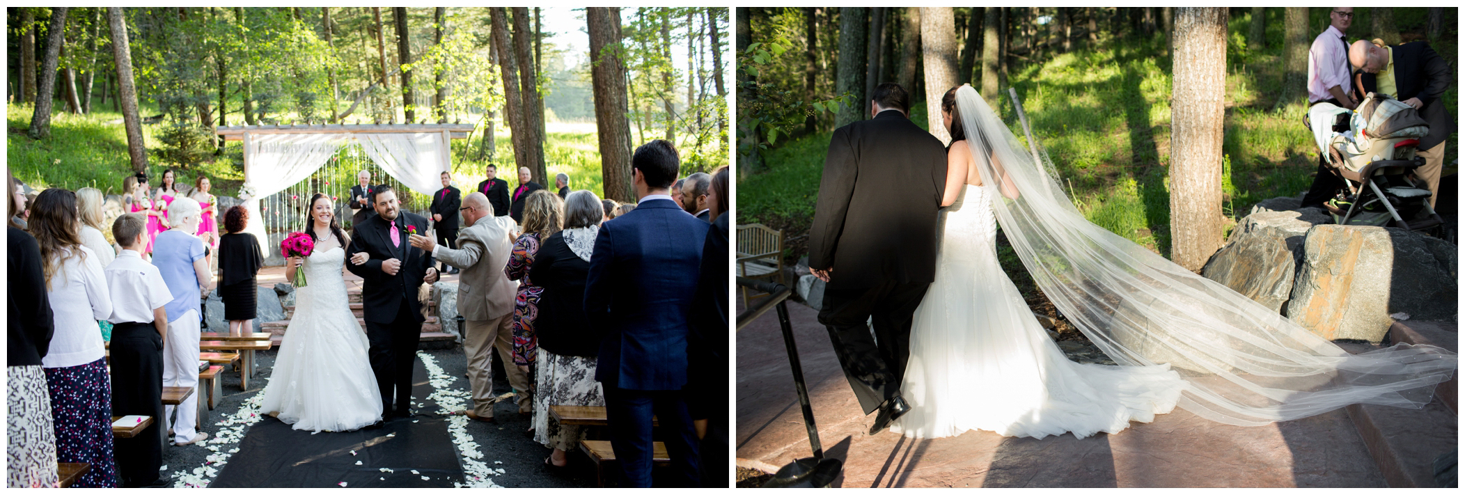 Colorado forest wedding photos 