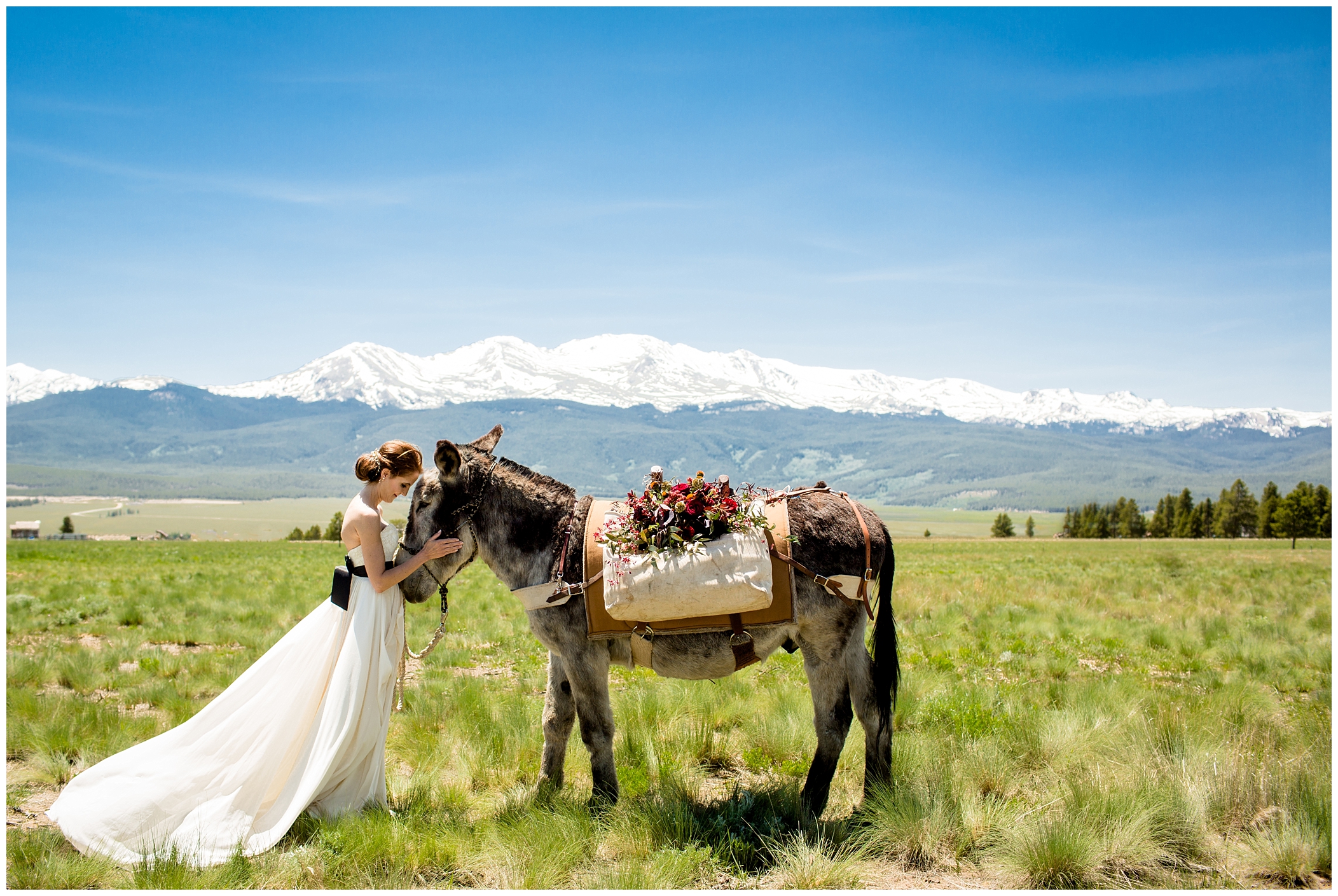 picture of rustic Colorado wedding 