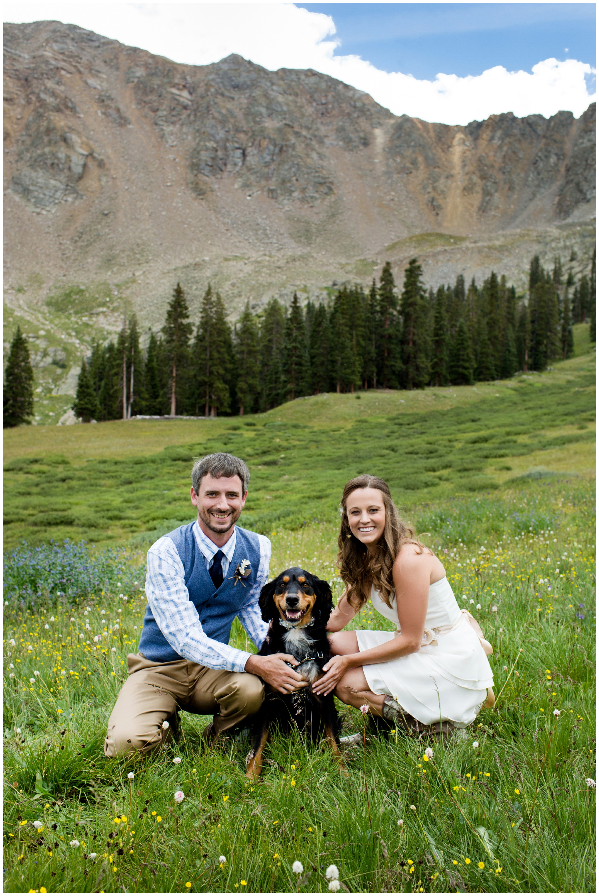 dog ring bearer at Colorado wedding