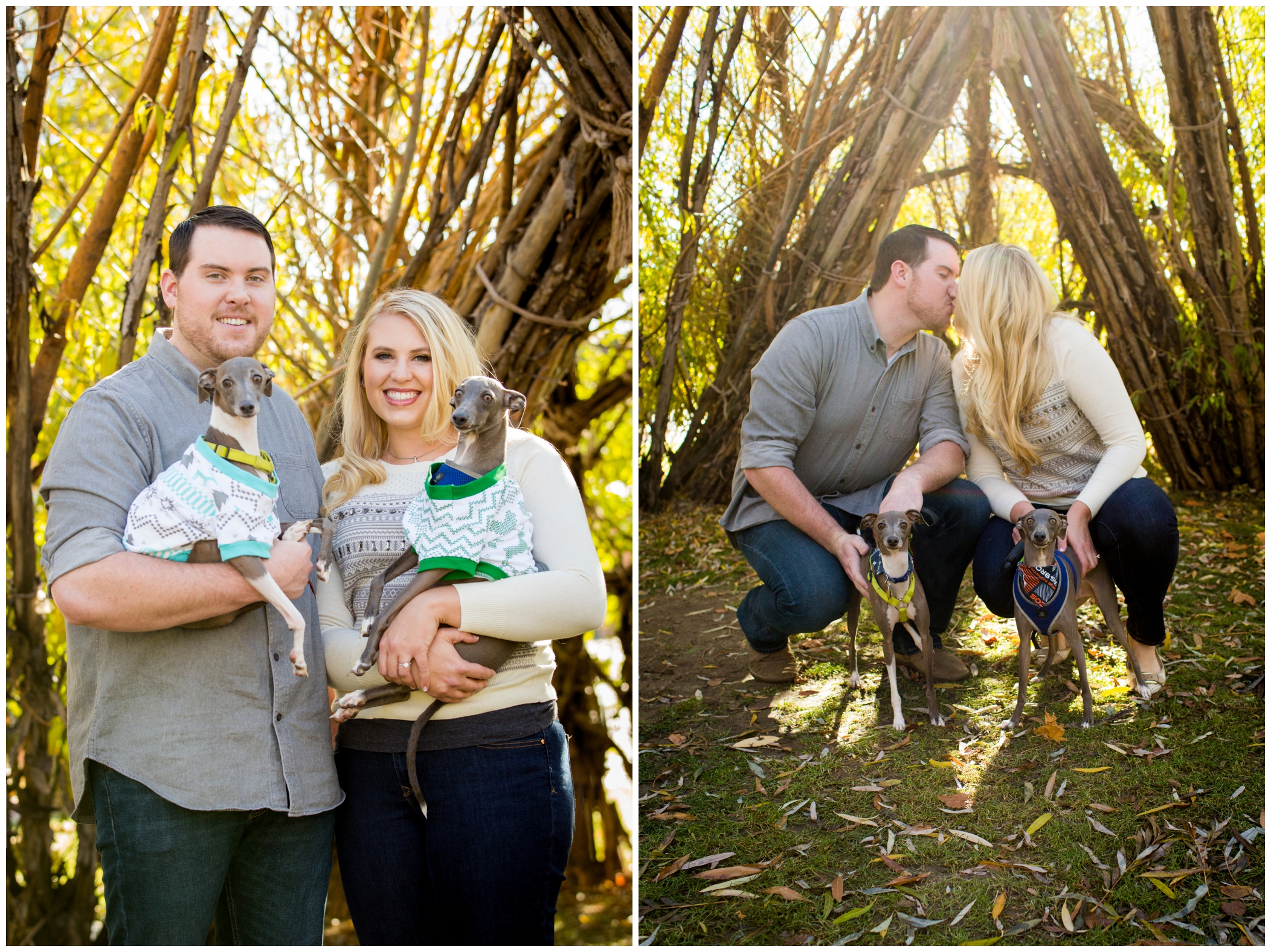 colorado engagement photos with dogs 