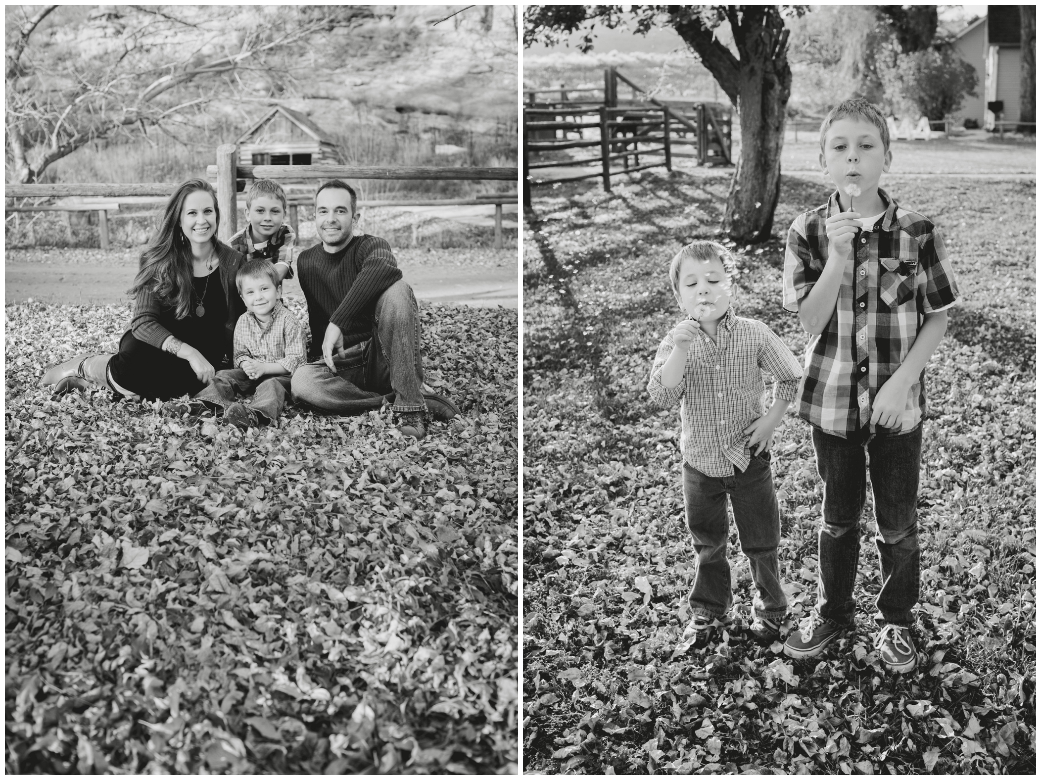fall family photos in Ft. Collins, Colorado 