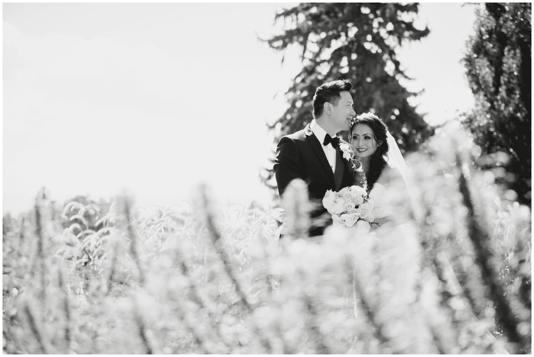Cheesman Park wedding photos by Denver wedding photographer Plum Pretty Photography