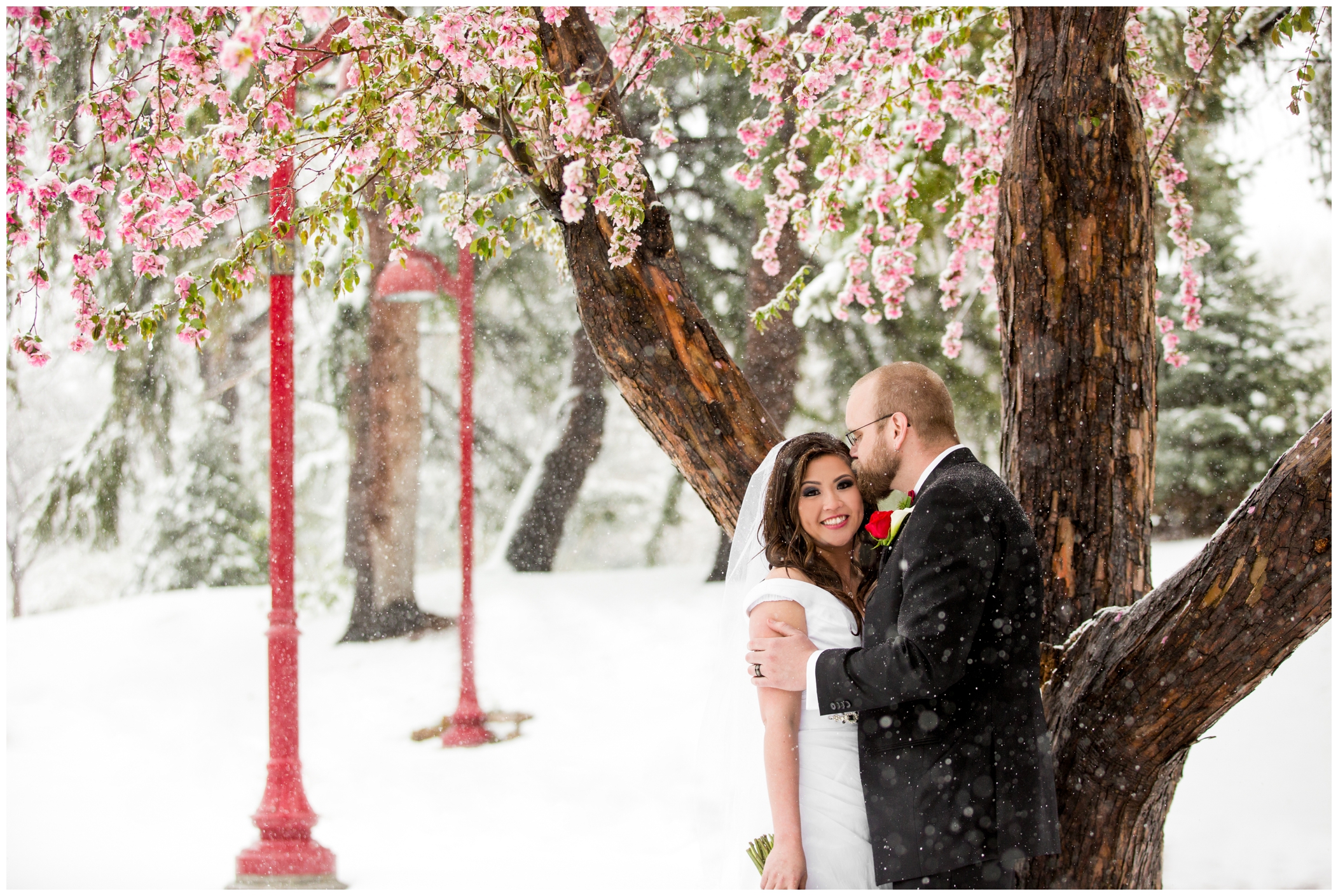 Colorado spring wedding photos in the snow