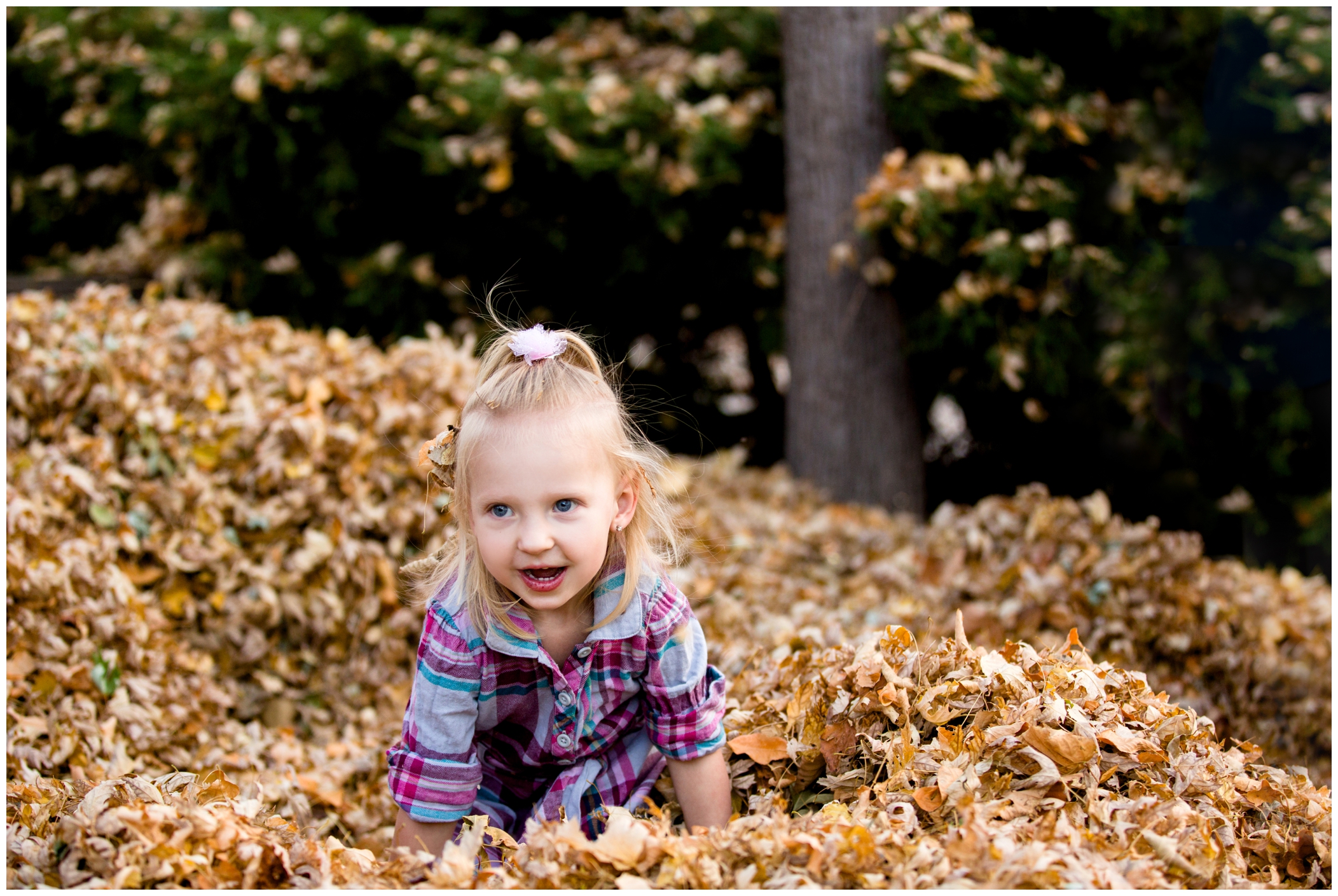 fall family photos by Colorado photographer Plum Pretty Photography