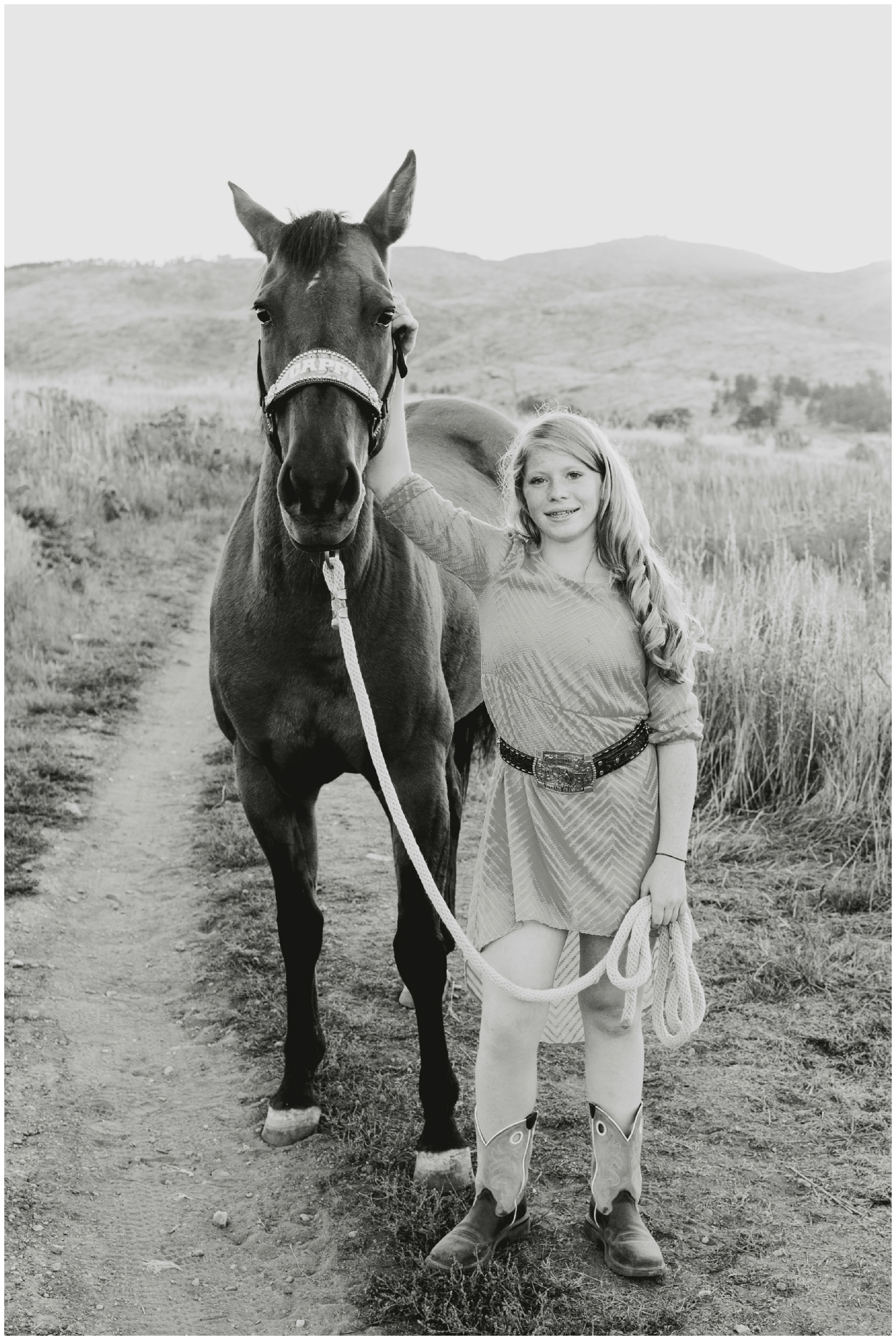 Colorado horse photography at Bobcat Ridge Natural Area by Plum Pretty Photography.