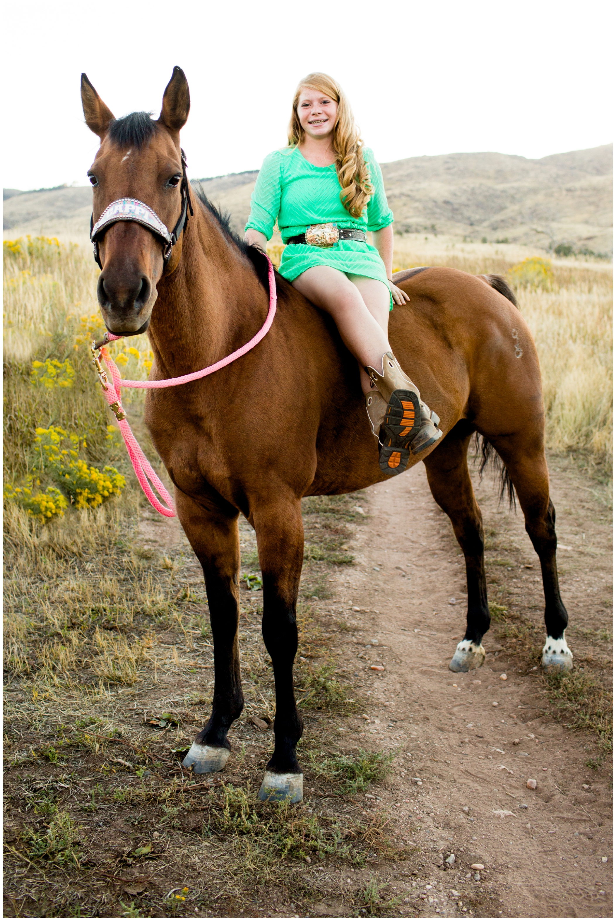 Colorado horse photos in Loveland