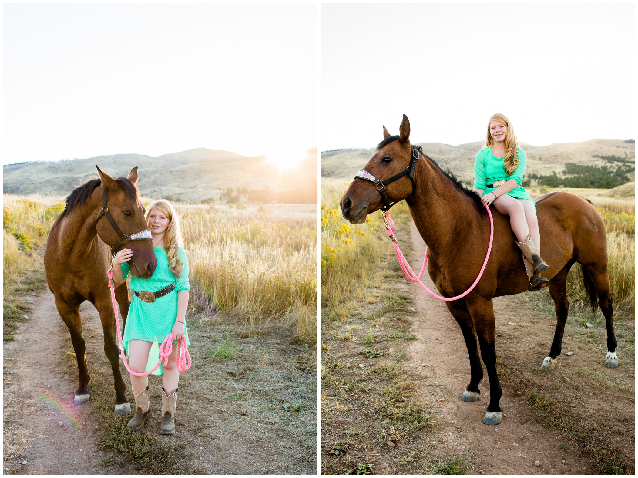 Colorado horse photography in Loveland 