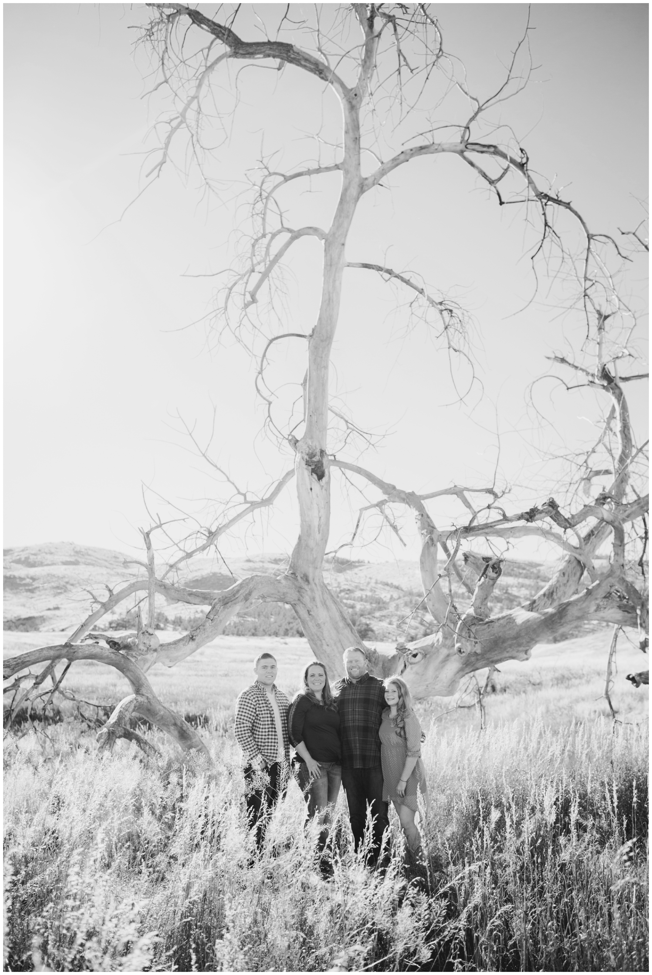 Bobcat Ridge Natural Area