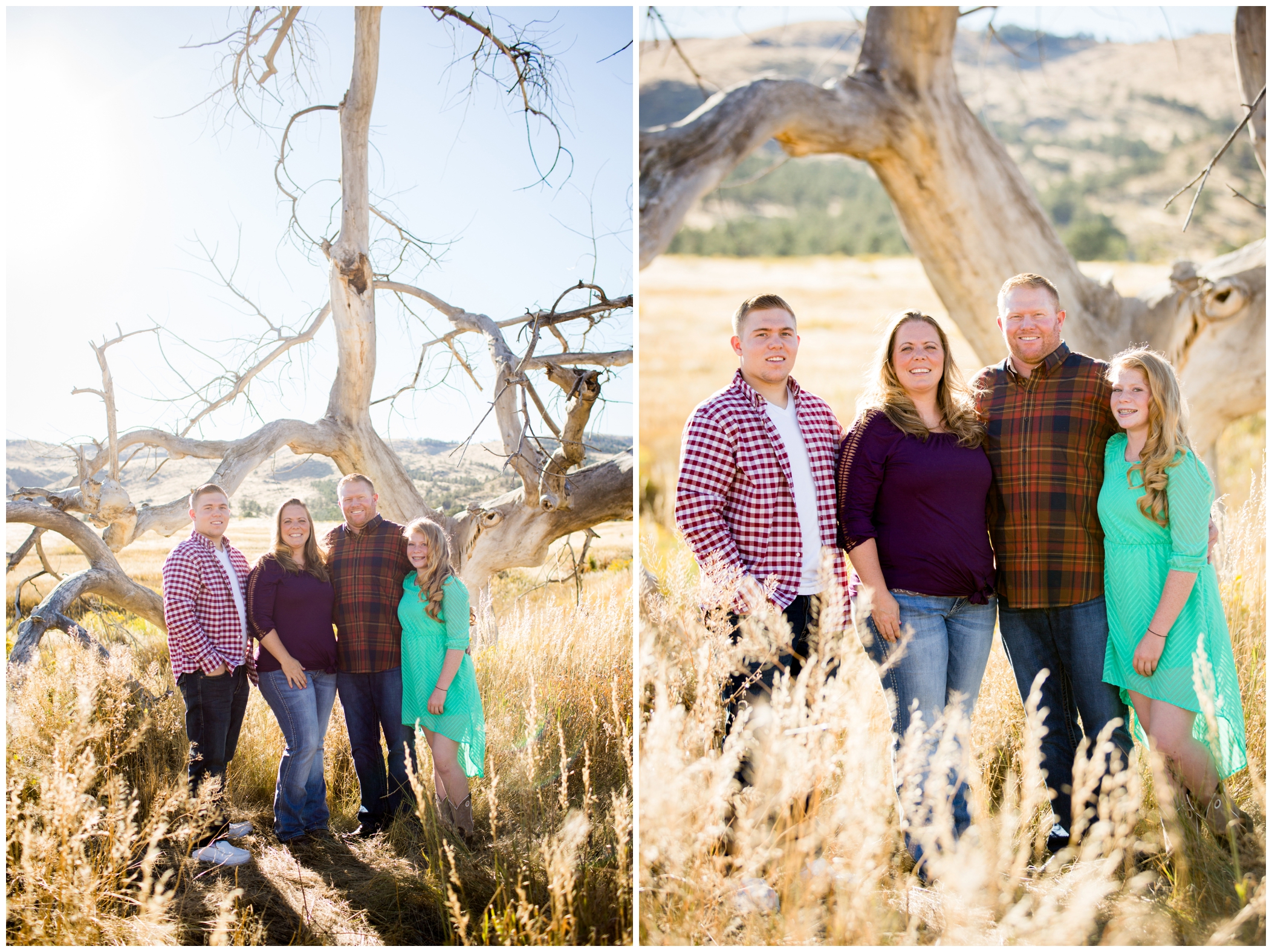Colorado family photography in Loveland 