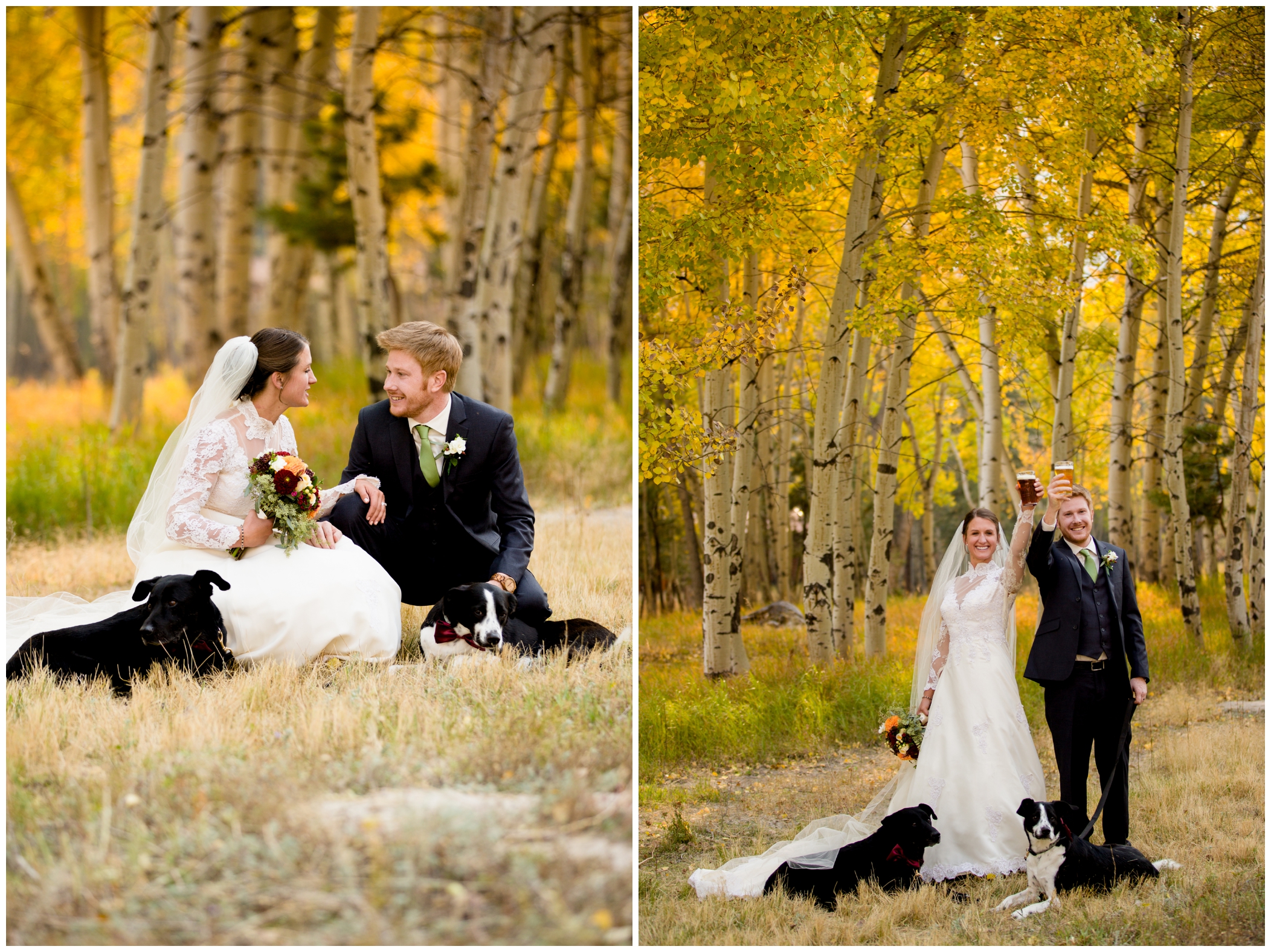 Colorado wedding photos with dogs 