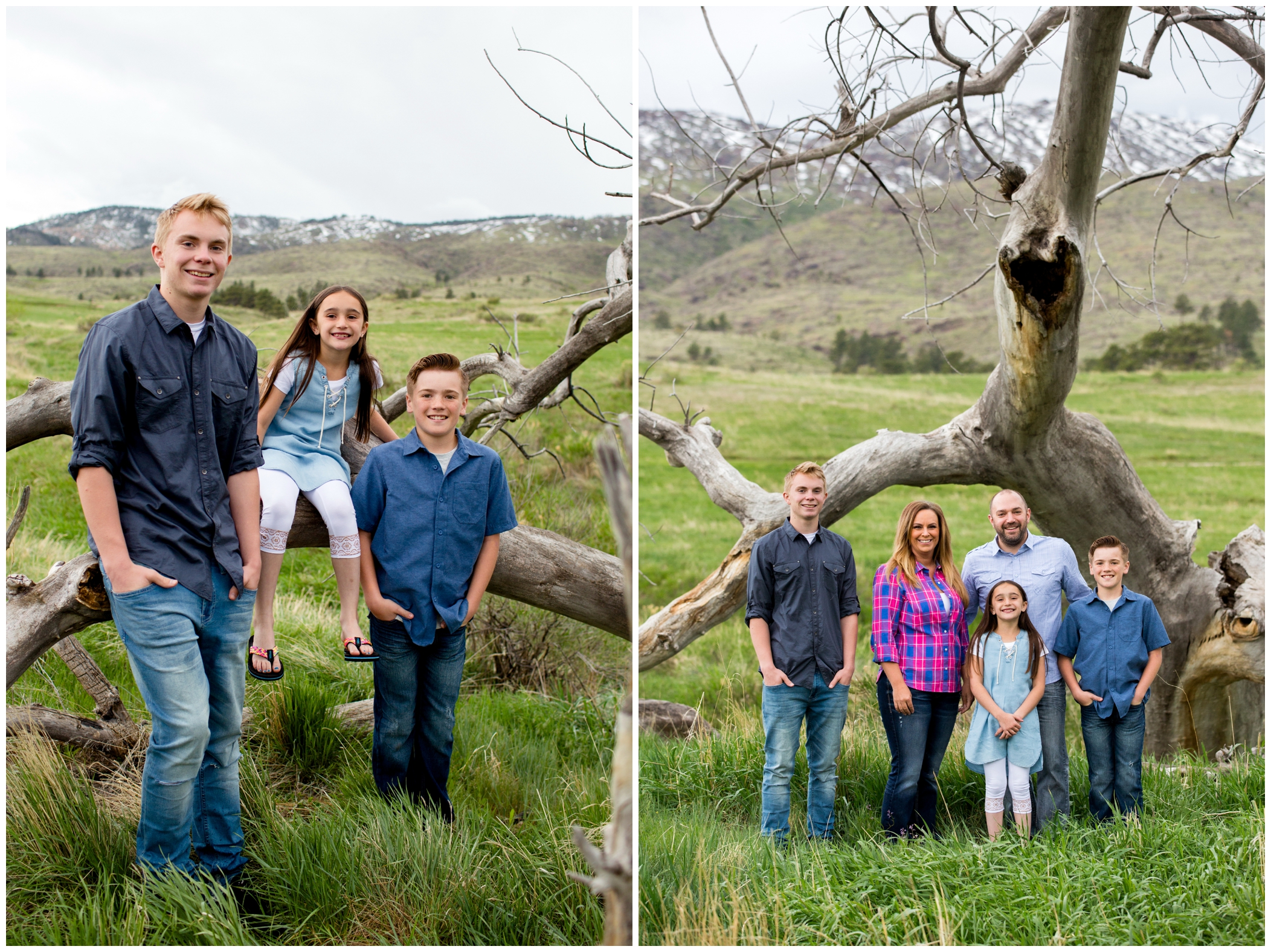 Colorado family photos in Loveland CO
