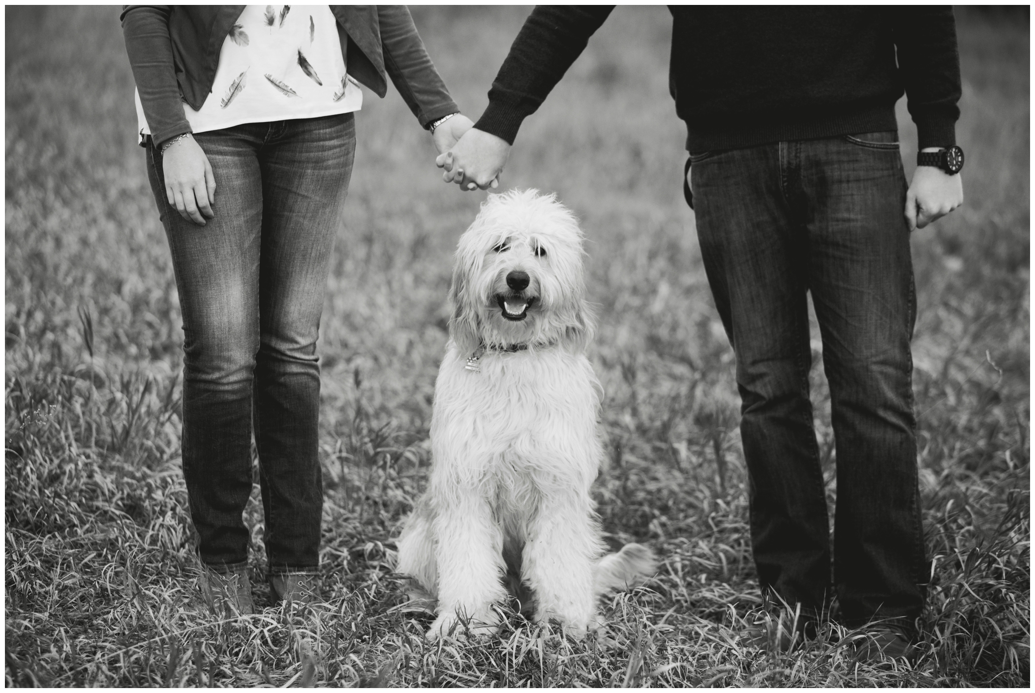 Boulder Colorado engagement photos with a dog 