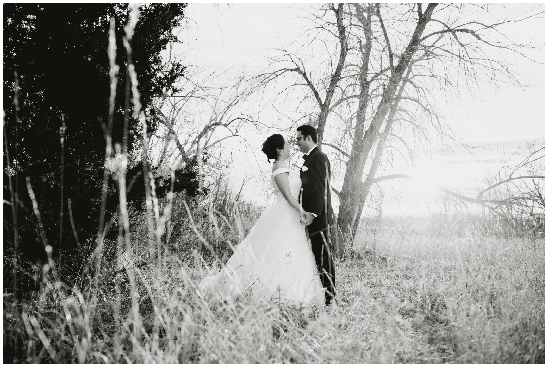 Denver Colorado wedding pictures in a field 