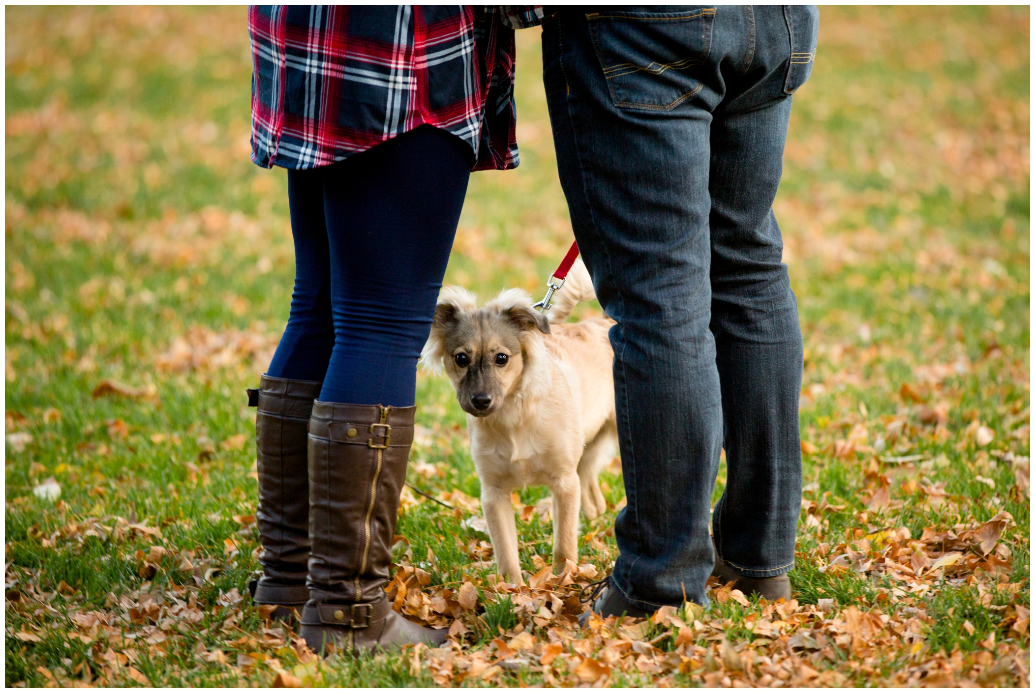 Longmont Colorado engagement photos with dog 