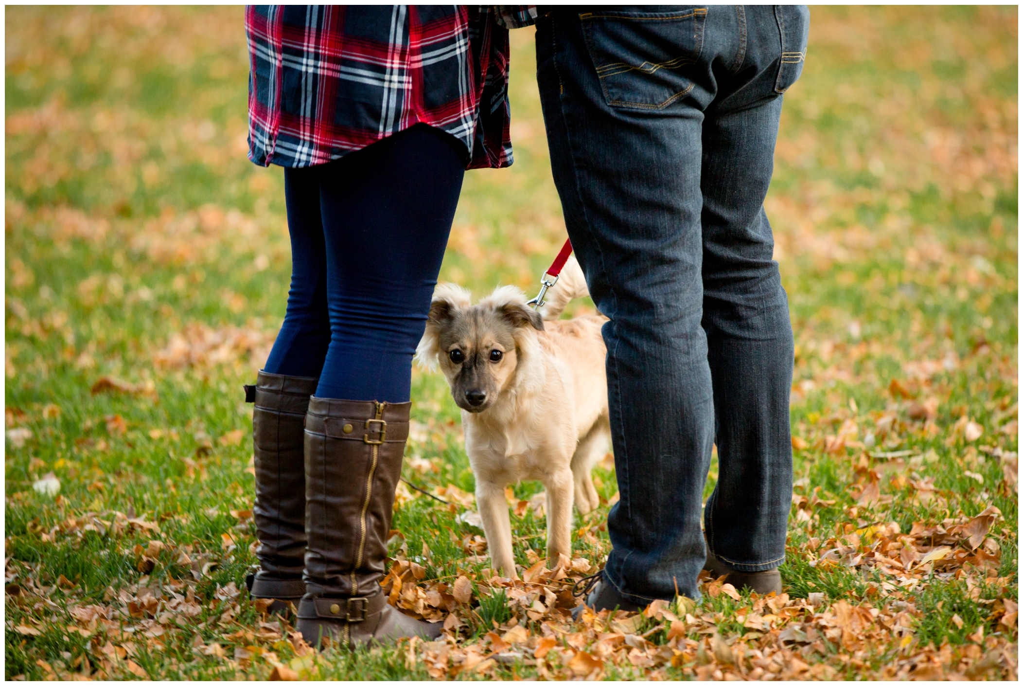 Longmont Colorado engagement photos with dog