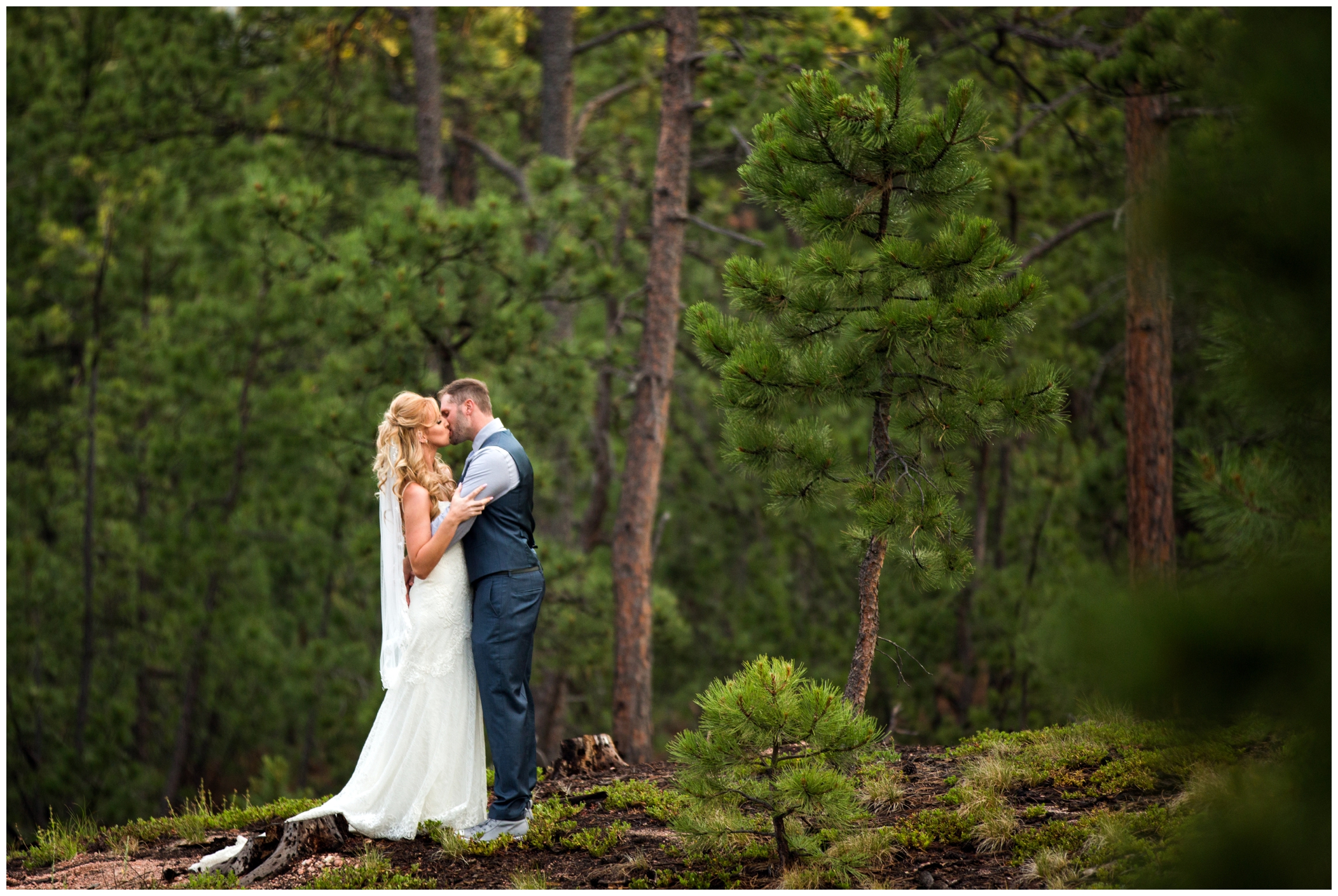 Colorado forest wedding photos 
