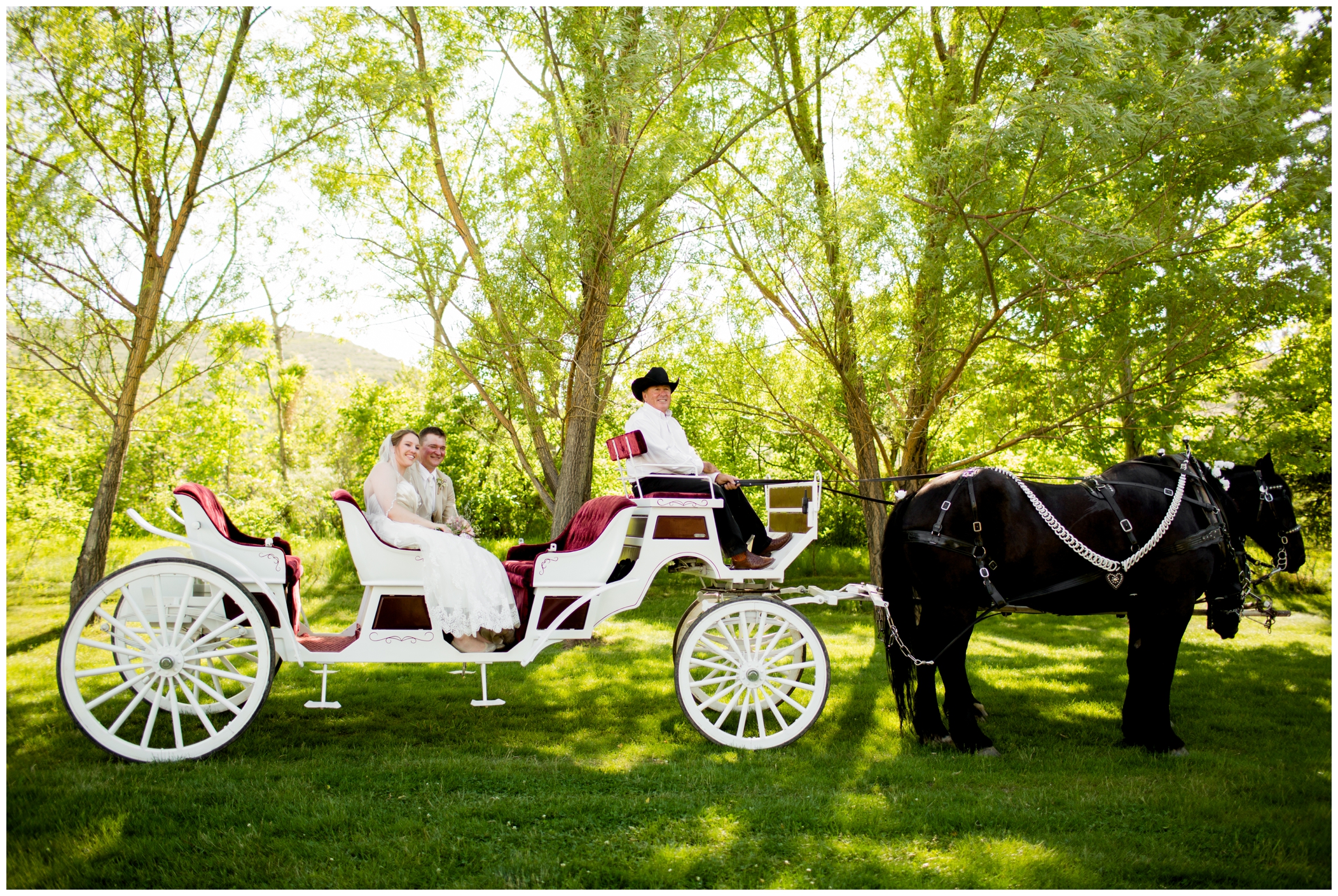 Loveland Colorado wedding photographs with horse drawn carriage 