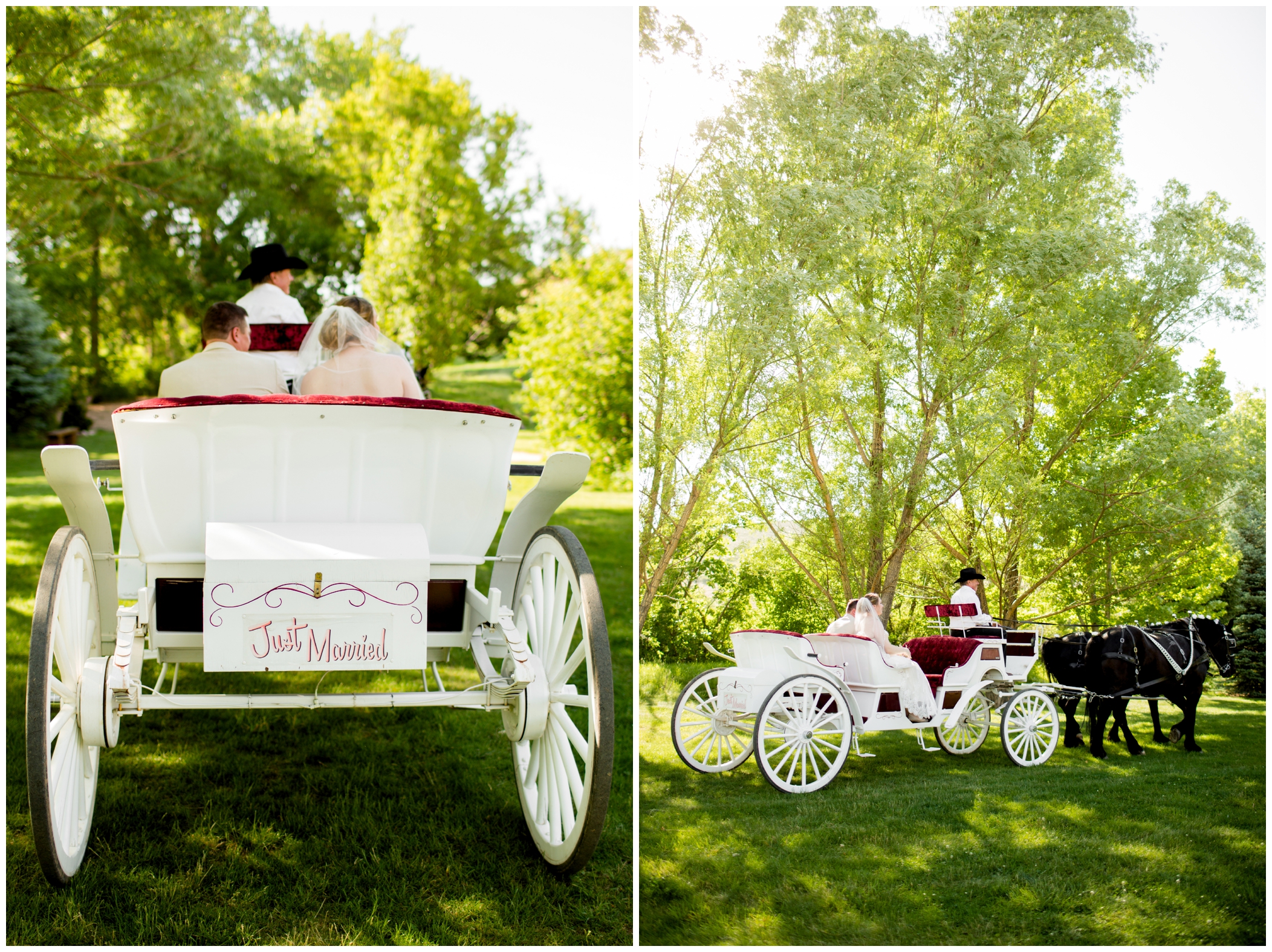 Loveland Colorado wedding photos with horse drawn carriage 