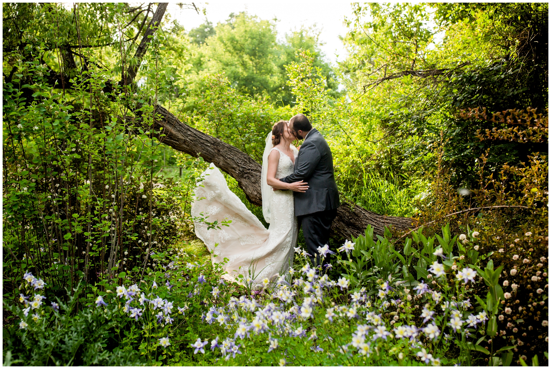 bride and groom standing in wildflowers during their Chatfield Botanic Gardens wedding photography 