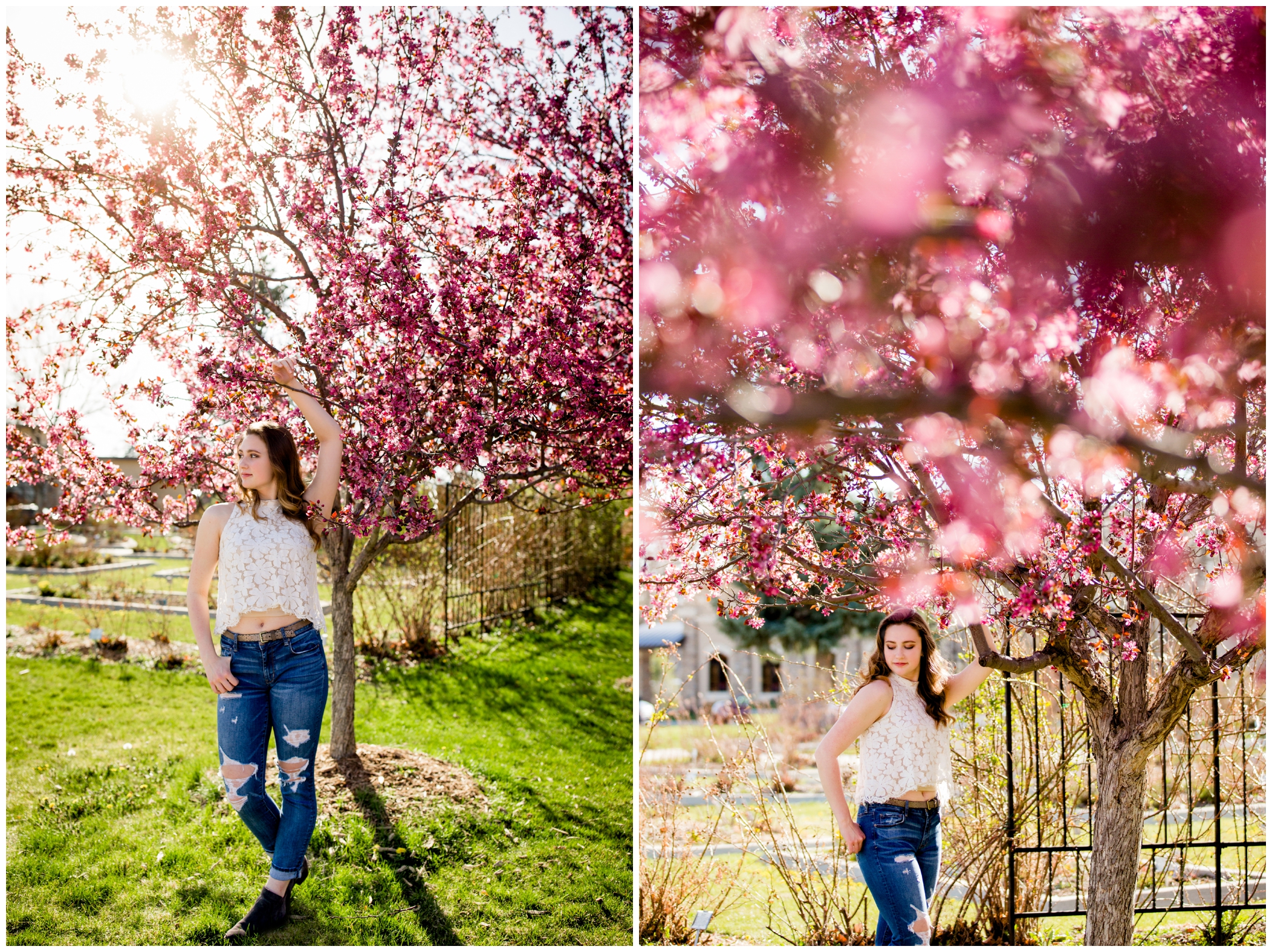 spring blossom Longmont Colorado senior portraits 