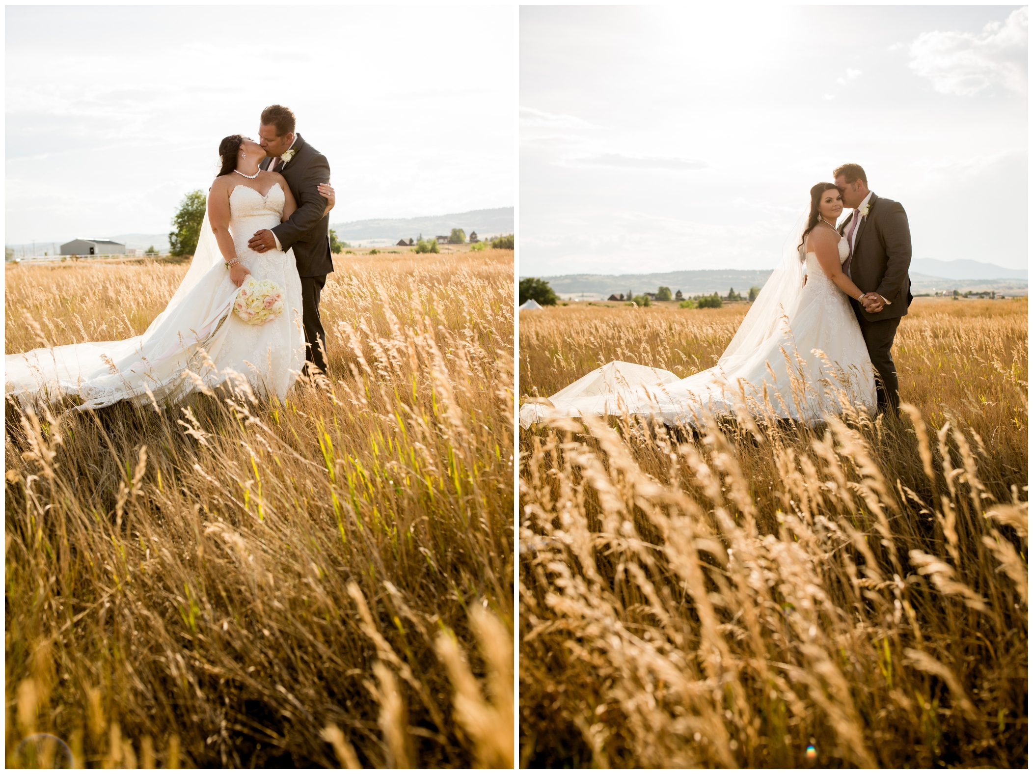bride and groom kissing in golden field during Berthoud Colorado wedding portraits 
